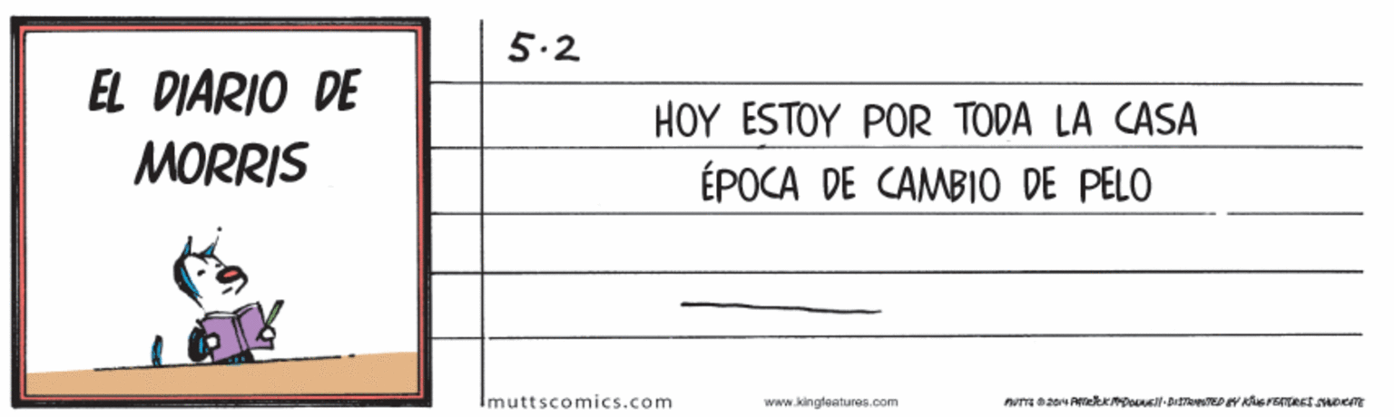 Slope OCR: 5.2 EL DIARIO DE MORRIS HOY ESTOY POR TODA LA CASA ÉPOCA DE CAMBIO DE PELO Imuttscomics.com Www.ikingteatures.com 5.2 EL DIARIO DE MORRIS HOY ESTOY POR TODA LA CASA ÉPOCA DE CAMBIO DE PELO Imuttscomics.com Www.ikingteatures.com