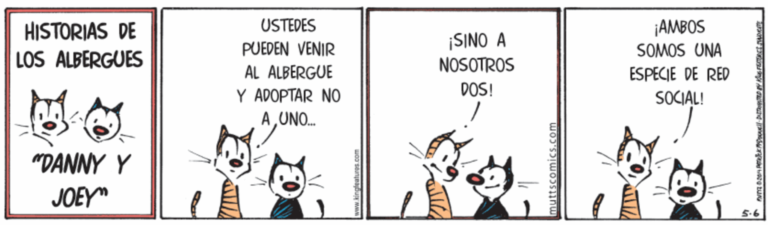 Art OCR: USTEDES HISTORIAS DE LOS ALBERGUES ¡AMBOS ¡SINO A NOSOTROS PUEDEN VENIR SOMOS UNA AL ALBERGUE ESPECIE DE RED Y ADOPTAR NO DOS! SOCIAL! AUNO. "DANNY Y JOEY" 5.6 USTEDES HISTORIAS DE LOS ALBERGUES ¡AMBOS ¡SINO A NOSOTROS PUEDEN VENIR SOMOS UNA AL ALBERGUE ESPECIE DE RED Y ADOPTAR NO DOS! SOCIAL! AUNO. "DANNY Y JOEY" 5.6