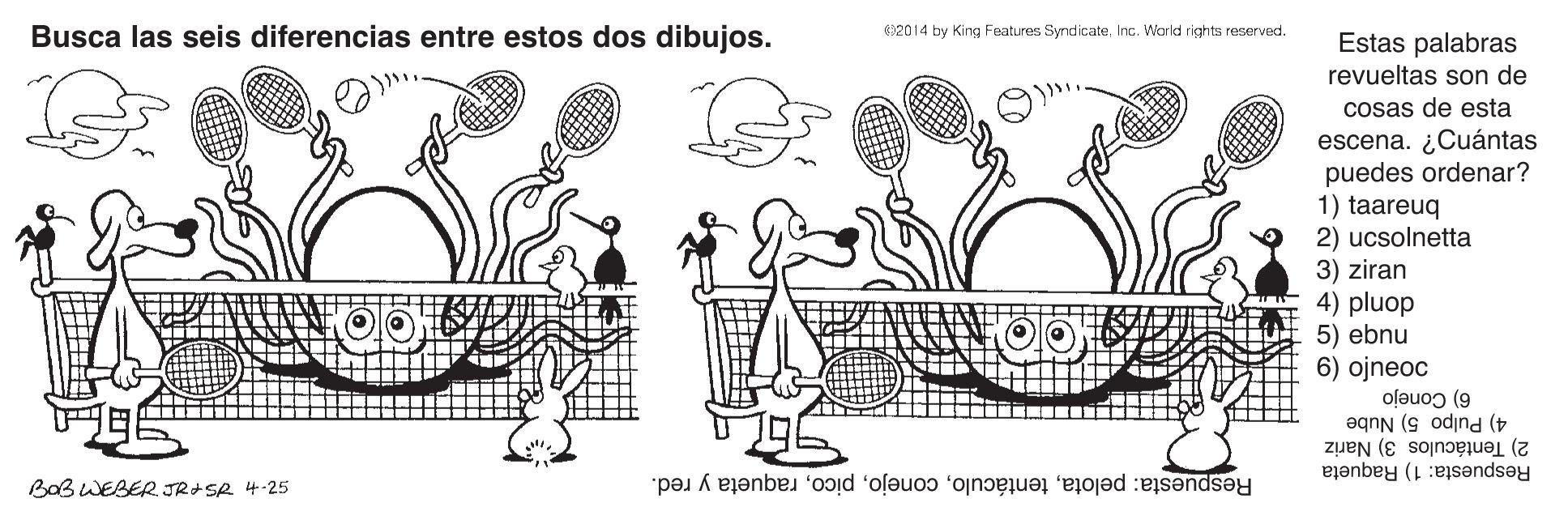 Mammal OCR: Busca las seis diferencias entre estos dos dibujos. 02014 by King Features SyndicateInc. World rights reserved. Estas palabras revueltas son de cosas de esta escena. ¿Cuántas puedes ordenar? 1) taareuq 2) ucsolnetta 3) ziran 4) pluop 5) ebnu 6) ojneoc 6) Conejo 4) Pulpo 5) Nube 2) Tentáculos 3) Nariz BoB WEBER JRISR 4-25 Respuesta: pelotaraqueta y red. Respuesta: 1) Raqueta Busca las seis diferencias entre estos dos dibujos. 02014 by King Features SyndicateInc. World rights reserved. Estas palabras revueltas son de cosas de esta escena. ¿Cuántas puedes ordenar? 1) taareuq 2) ucsolnetta 3) ziran 4) pluop 5) ebnu 6) ojneoc 6) Conejo 4) Pulpo 5) Nube 2) Tentáculos 3) Nariz BoB WEBER JRISR 4-25 Respuesta: pelotaraqueta y red. Respuesta: 1) Raqueta