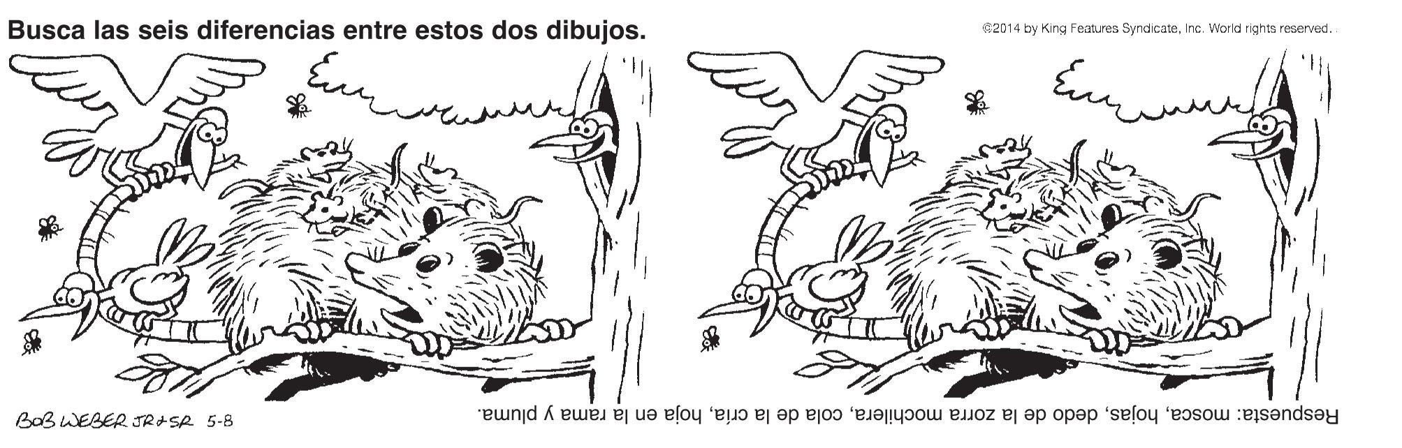 Illustration OCR: Busca las seis diferencias entre estos dos dibujos. 62014 by King Features SyndicateInc. World rights reserved. BaB WEBER JRISR 5-8 Respuesta: moscahoja en la rama y pluma. Busca las seis diferencias entre estos dos dibujos. 62014 by King Features SyndicateInc. World rights reserved. BaB WEBER JRISR 5-8 Respuesta: moscadedo de la zorra mochileracola de la críahoja en la rama y pluma.