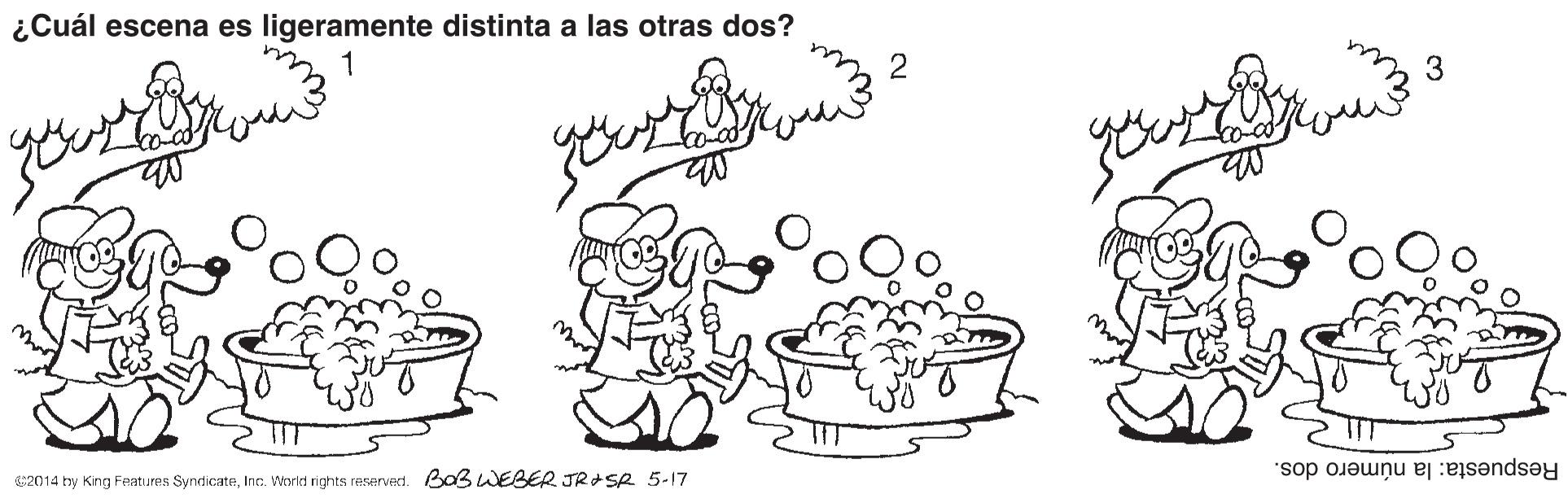 Organism OCR: ¿Cuál escena es ligeramente distinta a las otras dos? 1 2 3 Respuesta: la número dos. S2014 hy King Fetures SyndicateInc. WWorkt rights reservect. BaBWEBER JRASR 5-17 ¿Cuál escena es ligeramente distinta a las otras dos? 1 2 3 Respuesta: la número dos. S2014 hy King Fetures SyndicateInc. WWorkt rights reservect. BaBWEBER JRASR 5-17
