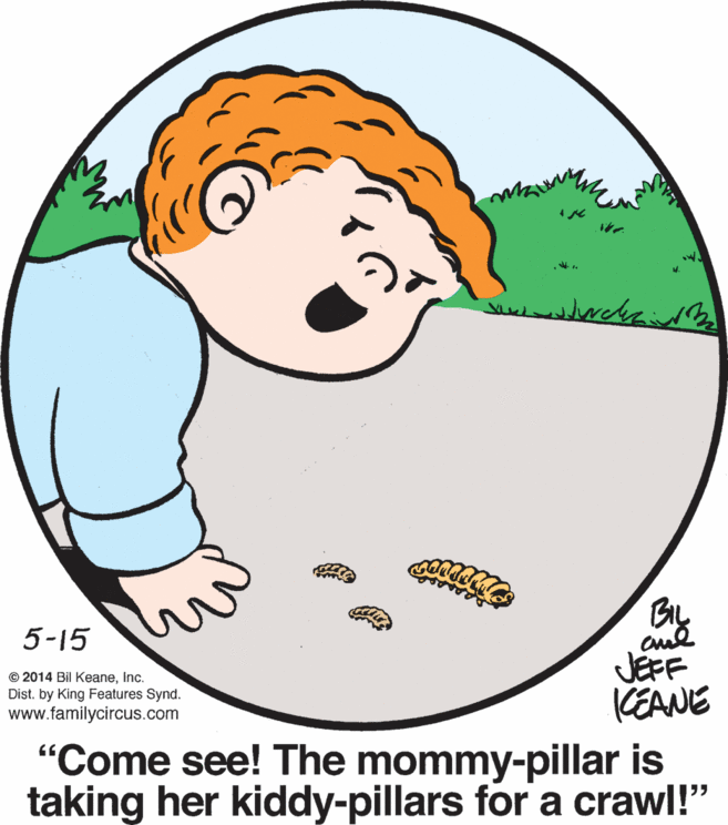 Happy OCR: 5-15 JEFF KEANE "Come see! The mommy-pillar is taking her kiddy-pillars for a crawl!" © 2014 Bil KeaneInc. Dist. by King Features Synd. www.familycircus.com 5-15 JEFF KEANE "Come see! The mommy-pillar is taking her kiddy-pillars for a crawl!" © 2014 Bil KeaneInc. Dist. by King Features Synd. www.familycircus.com