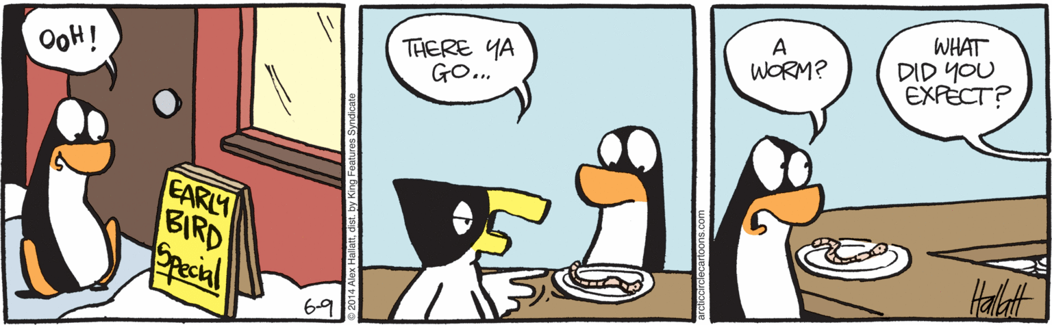 geese and swans OCR: WHAT DID YOU EXPECT? A THERE YA GO... WORM? OoH! EARLY BIRD Special Halt 6-9 WHAT DID YOU EXPECT? A THERE YA GO... WORM? OoH! EARLY BIRD Special Halt 6-9