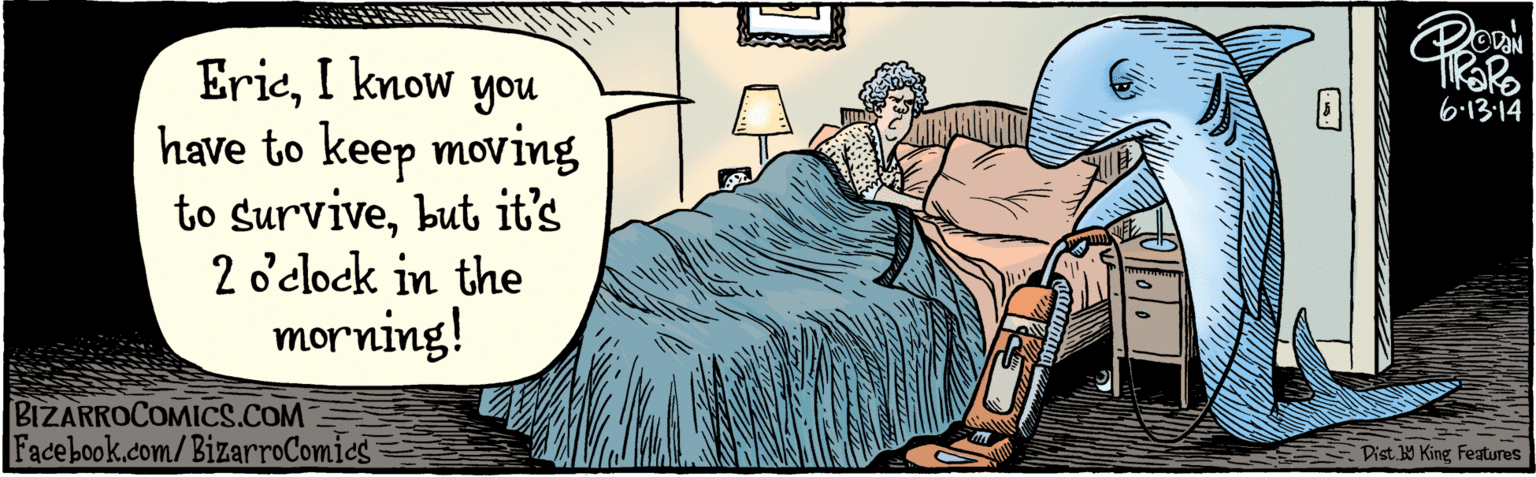 Illustration OCR: Facebook.com/BizarroComies have to keep ErieI know moving to survivebut it's 2 o'elock in the morning! you 6.13-14 BIZARROCOMICS.COM Dist Y King Features Facebook.com/BizarroComies have to keep ErieI know moving to survivebut it's 2 o'elock in the morning! you 6.13-14 BIZARROCOMICS.COM Dist Y King Features
