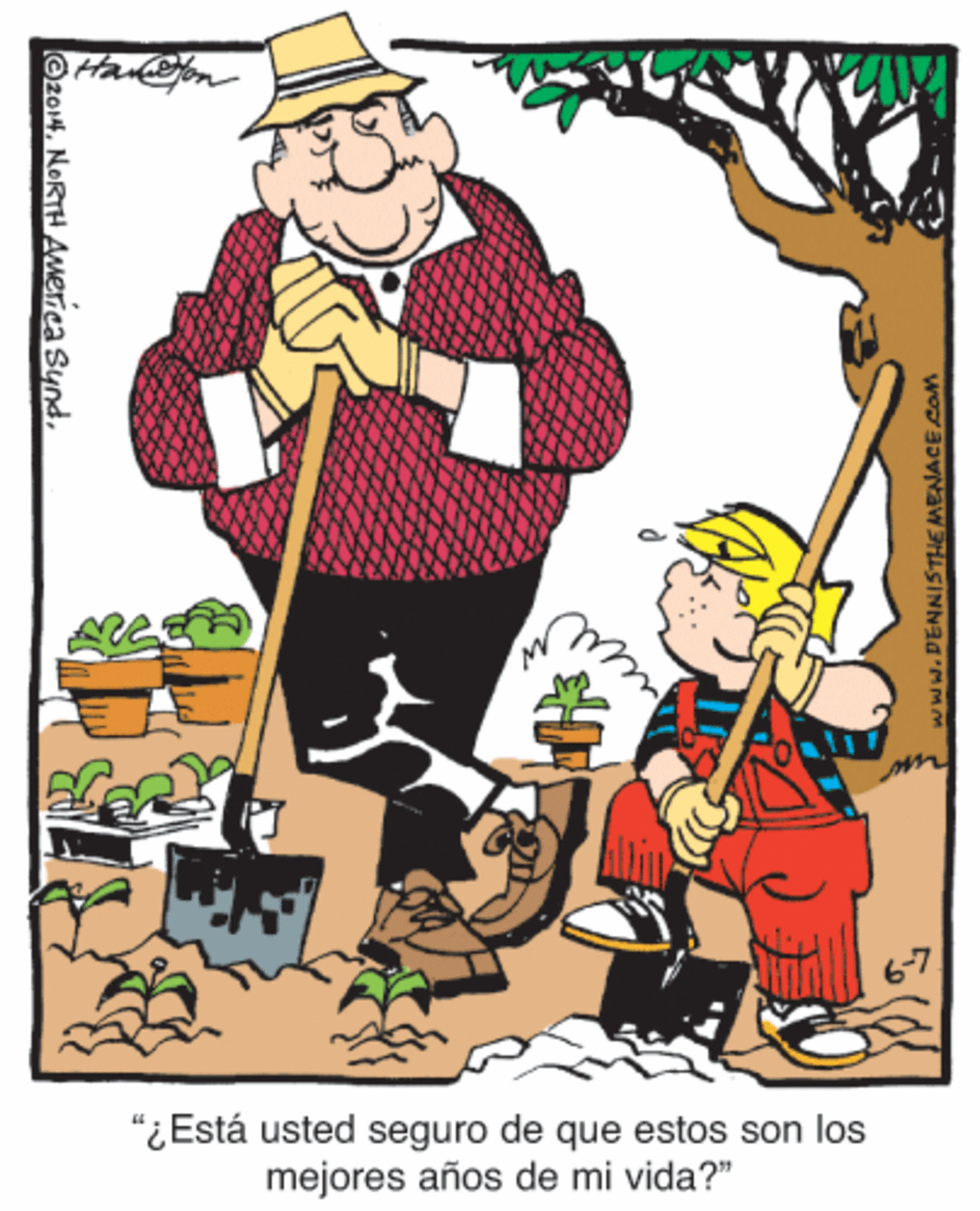 Illustration OCR: Han@om "¿Está usted seguro de que estos son los mejores años de mi vida?" Oz014NORTH America Synd. ww.DENNISTHE MENACE COM Han@om "¿Está usted seguro de que estos son los mejores años de mi vida?" Oz014NORTH America Synd. ww.DENNISTHE MENACE COM
