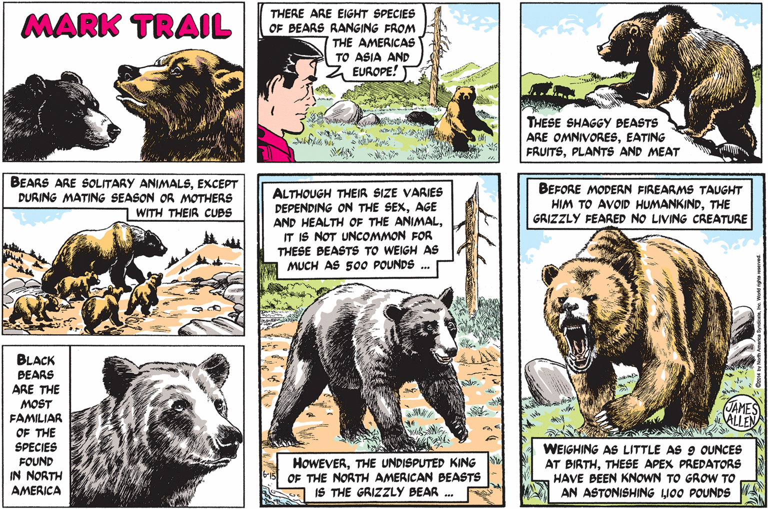 Big cats OCR: THERE ARE EIGHT SPECIES OF BEARS RANGING FROM THE AMERICAS TO ASIA AND EUROPE! MARK TRAIL THESE SHAGGY BEASTS ARE OMNIVORESEATING FRUITSPLANTS AND MEAT Ji. BEARS ARE SOLITARY ANIMALSEXCEPT DURING MATING SEASON OR MOTHERS BEFORE MODERN FIREARMS TAUGHT HIM TO AVOID HUMANKINDTHE GRIZZLY FEARED NO LIVING CREATURE ALTHOUGH THEIR SIZE VARIES DEPENDING ON THE SEXAGE AND HEALTH OF THE ANIMALIT IS NOT UNCOMMON FOR THESE BEASTS TO WEIGH AS MUCH AS 500 POUNDS ... WITH THEIR CUBS BLACK BEARS ARE THE MOST FAMILIAR JAMES ALLEN OF THE SPECIES FOUND IN NORTH HOWEVERTHE UNDISPUTED KING OF THE NORTH AMERICAN BEASTS IS THE GRIZZLY BEAR . WEIGHING AS LITTLE AS 9 OUNCES AT BIRTHTHESE APEX PREDATORS HAVE BEEN KNOWN TO GROW TO AN ASTONISHING LI00 POUNDS AMERICA THERE ARE EIGHT SPECIES OF BEARS RANGING FROM THE AMERICAS TO ASIA AND EUROPE! MARK TRAIL THESE SHAGGY BEASTS ARE OMNIVORESEATING FRUITSPLANTS AND MEAT Ji. BEARS ARE SOLITARY ANIMALSEXCEPT DURING MATING SEASON OR MOTHERS BEFORE MODERN FIREARMS TAUGHT HIM TO AVOID HUMANKINDTHE GRIZZLY FEARED NO LIVING CREATURE ALTHOUGH THEIR SIZE VARIES DEPENDING ON THE SEXAGE AND HEALTH OF THE ANIMALIT IS NOT UNCOMMON FOR THESE BEASTS TO WEIGH AS MUCH AS 500 POUNDS ... WITH THEIR CUBS BLACK BEARS ARE THE MOST FAMILIAR JAMES ALLEN OF THE SPECIES FOUND IN NORTH HOWEVERTHE UNDISPUTED KING OF THE NORTH AMERICAN BEASTS IS THE GRIZZLY BEAR . WEIGHING AS LITTLE AS 9 OUNCES AT BIRTHTHESE APEX PREDATORS HAVE BEEN KNOWN TO GROW TO AN ASTONISHING LI00 POUNDS AMERICA