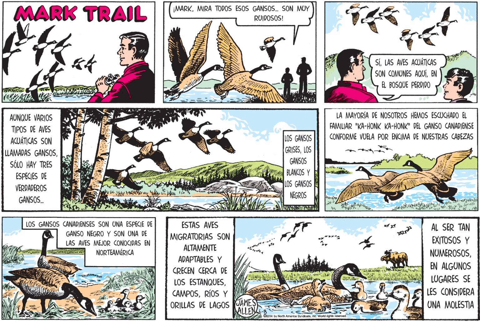 Sharing OCR: MARK TRAIL MARKMIRA TODOS ESOS GANSOS. SON MUY RUIDOSOS! kt SÍLAS AVES ACUÁTICAS SON COMUNES AQUÍEN EL BOSQUE PERDIDO AUNQUE VARIOS LA MAYORÍA DE NOSOTROS HEMOS ESCUCHADO EL FAMILIAR "KA-HONK KA-HONK" DEL GANSO CANADIENSE TIPOS DE AVES ACUÁTICAS SON LLAMADAS GANSOSSÓLO HAY TRES LOS GANSOS GRISESLOS CONFORME VUELA POR ENCIMA DE NUESTRAS CABEZAS GANSOS BLANCOS Y LOS GANSOS ESPECIES DE VERDADEROS NEGROS GANSOS. LOS GANSOS CANADIENSES SON UNA ESPECIE DE GANSO NEGRO Y SON UNA DE LAS AVES MEJOR CONOCIDAS EN NORTEAMÉRICA ESTAS AVES AL SER TAN MIGRATORIAS SON EXITOSOS Y ALTAMENTE NUMEROSOSEN ALGUNOS ADAPTABLES Y CRECEN CERCA DE LOS ESTANQUESRÍOS Y LUGARES SE LES CONSIDERA ORILLAS DE LAGOS JAMES ALLEN UNA MOLESTIA Gzo14 by North Amerkce Byndicetoin Workd rights eserved MARK TRAIL MARKMIRA TODOS ESOS GANSOS. SON MUY RUIDOSOS! kt SÍLAS AVES ACUÁTICAS SON COMUNES AQUÍEN EL BOSQUE PERDIDO AUNQUE VARIOS LA MAYORÍA DE NOSOTROS HEMOS ESCUCHADO EL FAMILIAR "KA-HONK KA-HONK" DEL GANSO CANADIENSE TIPOS DE AVES ACUÁTICAS SON LLAMADAS GANSOSSÓLO HAY TRES LOS GANSOS GRISESLOS CONFORME VUELA POR ENCIMA DE NUESTRAS CABEZAS GANSOS BLANCOS Y LOS GANSOS ESPECIES DE VERDADEROS NEGROS GANSOS. LOS GANSOS CANADIENSES SON UNA ESPECIE DE GANSO NEGRO Y SON UNA DE LAS AVES MEJOR CONOCIDAS EN NORTEAMÉRICA ESTAS AVES AL SER TAN MIGRATORIAS SON EXITOSOS Y ALTAMENTE NUMEROSOSEN ALGUNOS ADAPTABLES Y CRECEN CERCA DE LOS ESTANQUESRÍOS Y LUGARES SE LES CONSIDERA ORILLAS DE LAGOS JAMES ALLEN UNA MOLESTIA Gzo14 by North Amerkce Byndicetoin Workd rights eserved