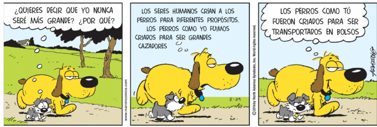 Adaptation OCR: ¿QUIERES DECIR QUE YO NUNCA SERÉ MÁS GRANDE? ¿POR QUÉ? LOS SERES HUMANOS CRÍAN A LOS PERROS PARA DIFERENTES PROPÓSITOS. LOS PERROS COMO YO FUIMOS CRIADOS PARA SER GRANDES CAZADORES LOS PERROS COMO TÚ FUERON CRIADOS PARA SER TRANSPORTADOS EN BÖLSOS 5-24 2014 by Narth America SyndieateIno. Worid rights reserved. ¿QUIERES DECIR QUE YO NUNCA SERÉ MÁS GRANDE? ¿POR QUÉ? LOS SERES HUMANOS CRÍAN A LOS PERROS PARA DIFERENTES PROPÓSITOS. LOS PERROS COMO YO FUIMOS CRIADOS PARA SER GRANDES CAZADORES LOS PERROS COMO TÚ FUERON CRIADOS PARA SER TRANSPORTADOS EN BÖLSOS 5-24 2014 by Narth America SyndieateIno. Worid rights reserved.