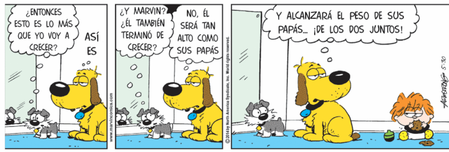 Art OCR: ¿ ENTONCES ESTO ES LO MÁS ) QUE YO VOY A CRECER? ¿Y MARVIN? ¿ÉL TAMBIÉN TERMINÓ DE CRECER? NOÉL SERÁ TAN Y ALCANZARÁ EL PESO DE SUS PAPÁS. DE LOS DOS JUNTOS! ASÍ ALTO COMO ES SUS PAPÁS 2014by North America Syndicateine ¿ ENTONCES ESTO ES LO MÁS ) QUE YO VOY A CRECER? ¿Y MARVIN? ¿ÉL TAMBIÉN TERMINÓ DE CRECER? NOÉL SERÁ TAN Y ALCANZARÁ EL PESO DE SUS PAPÁS. DE LOS DOS JUNTOS! ASÍ ALTO COMO ES SUS PAPÁS 2014by North America Syndicate