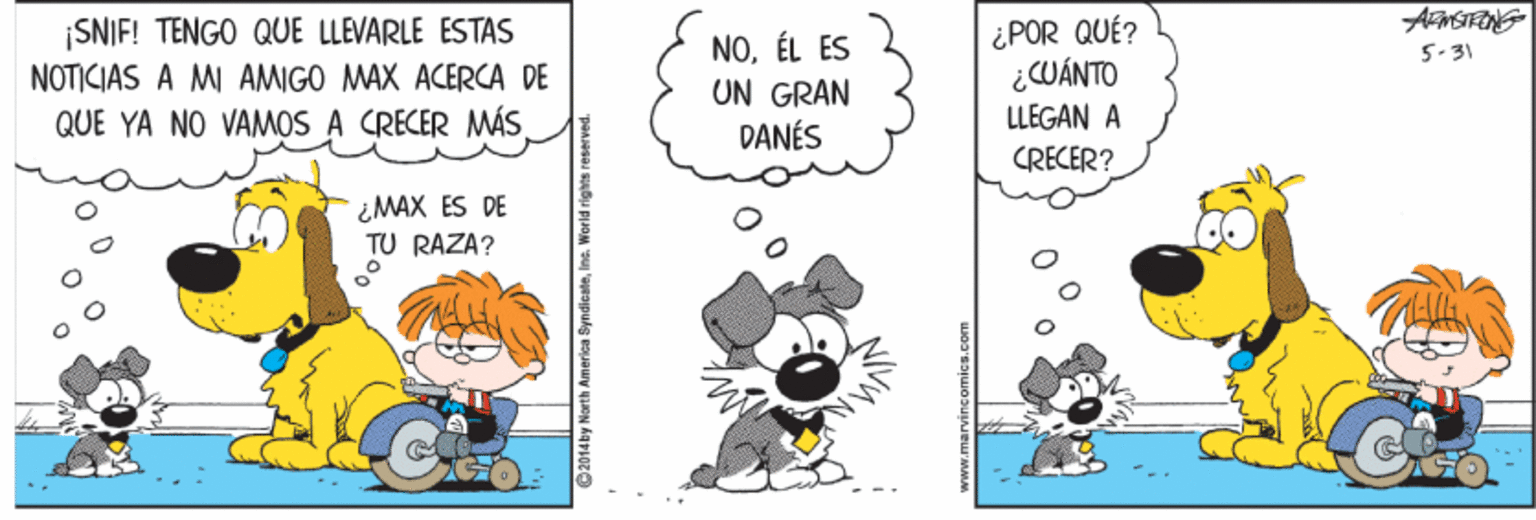 Illustration OCR: ¿POR QUÉ? ¿CUÁNTO ¡SNIF! TENGO QUE LLEVARLE ESTAS NOÉL ES UN GRAN DANÉS 5-31 NOTICIAS A MI AMIGO MAX ACERCA DE QUE YA NO VAMOS A CRECER MÁS. LLEGAN A CRECER? ¿MAX ES DE TU RAZA? 2014 by North America SyndiesteIne. W ¿POR QUÉ? ¿CUÁNTO ¡SNIF! TENGO QUE LLEVARLE ESTAS NOÉL ES UN GRAN DANÉS 5-31 NOTICIAS A MI AMIGO MAX ACERCA DE QUE YA NO VAMOS A CRECER MÁS. LLEGAN A CRECER? ¿MAX ES DE TU RAZA? 2014 by North America SyndiesteIne. W