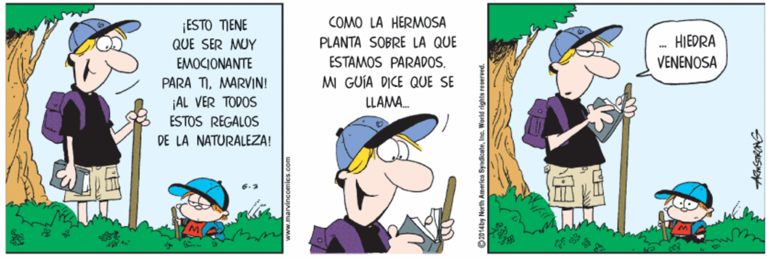 Art OCR: COMO LA HERMOSA |ESTO TIENE QUE SER MUY PLANTA SOBRE LA QUE HIEDRA EMOCIONANTE PARA TIMARVIN! AL VER TODOS ESTAMOS PARADOS. VENENOSA M GUÍA DICE QUE SE LLAMA. ESTOS REGALOS DE LA NATURALEZA! 2014by North America SyndicateIno. World rights reserved. COMO LA HERMOSA |ESTO TIENE QUE SER MUY PLANTA SOBRE LA QUE HIEDRA EMOCIONANTE PARA TIMARVIN! AL VER TODOS ESTAMOS PARADOS. VENENOSA M GUÍA DICE QUE SE LLAMA. ESTOS REGALOS DE LA NATURALEZA! 2014by North America SyndicateIno. World rights reserved.