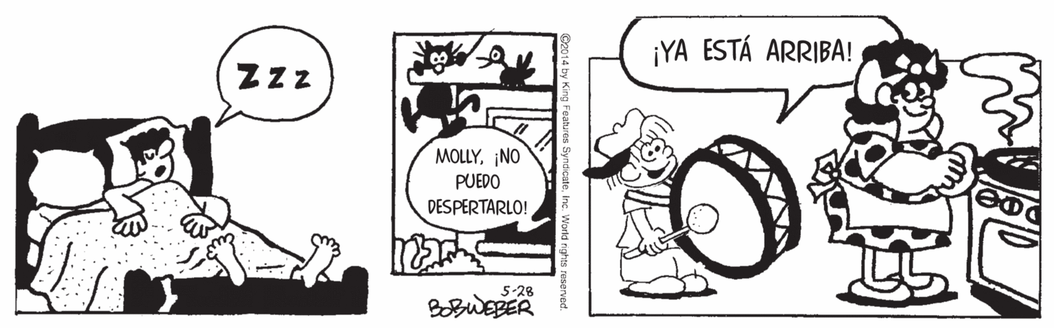 Parallel OCR: ¡YA ESTÁ ARRIBA! MOLLY¡NO PUEDO DESPERTARLO! 5-28 BOBWEBER ¡YA ESTÁ ARRIBA! MOLLY¡NO PUEDO DESPERTARLO! 5-28 BOBWEBER