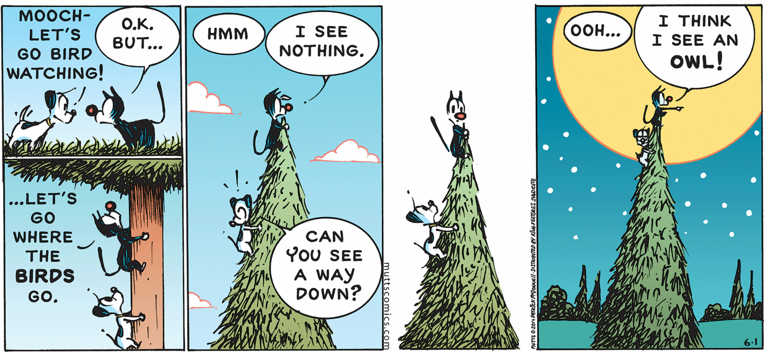 Terrestrial plant OCR: MOOCH- I THINK I SEE AN OWL! ?.?. I SEE ???... LET'S GO BIRD WATCHING! HMM BUT... NOTHING. ...LET'S GO CAN You SEE A WAY DOWN? WHERE THE BIRDS GO. 6.1 MOOCH- I THINK I SEE AN OWL! ?.?. I SEE ???... LET'S GO BIRD WATCHING! HMM BUT... NOTHING. ...LET'S GO CAN You SEE A WAY DOWN? WHERE THE BIRDS GO. 6.1