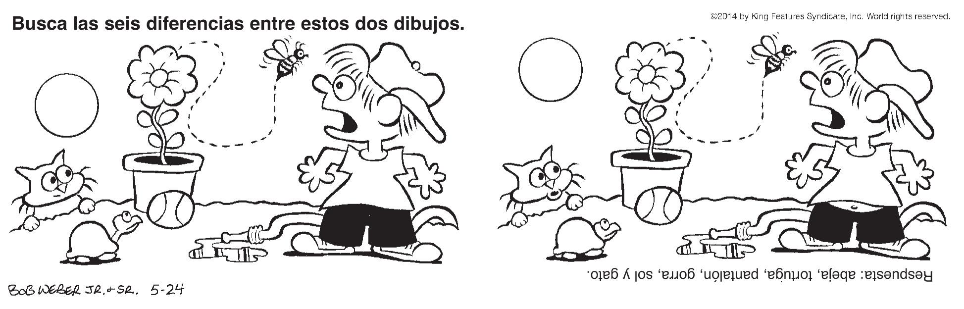 Mammal OCR: 42014 by King Features SyndicateInc. World rights reserved. Busca las seis diferencias entre estos dos dibujos. Respuesta: abejasol y gato. BoB WERER JR5-24 42014 by King Features SyndicateInc. World rights reserved. Busca las seis diferencias entre estos dos dibujos. Respuesta: abejasol y gato. BoB WERER JR