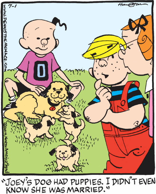 Graphics OCR: 7-1 *JOEY'S DOG HAD PUPPIES. I DIDN'T EVEN KNOW SHE WAS MARRIED." www.PENNISTHEMENACE.COM or14NORTHAmenaSynd 7-1 *JOEY'S DOG HAD PUPPIES. I DIDN'T EVEN KNOW SHE WAS MARRIED." www.PENNISTHEMENACE.COM or14
