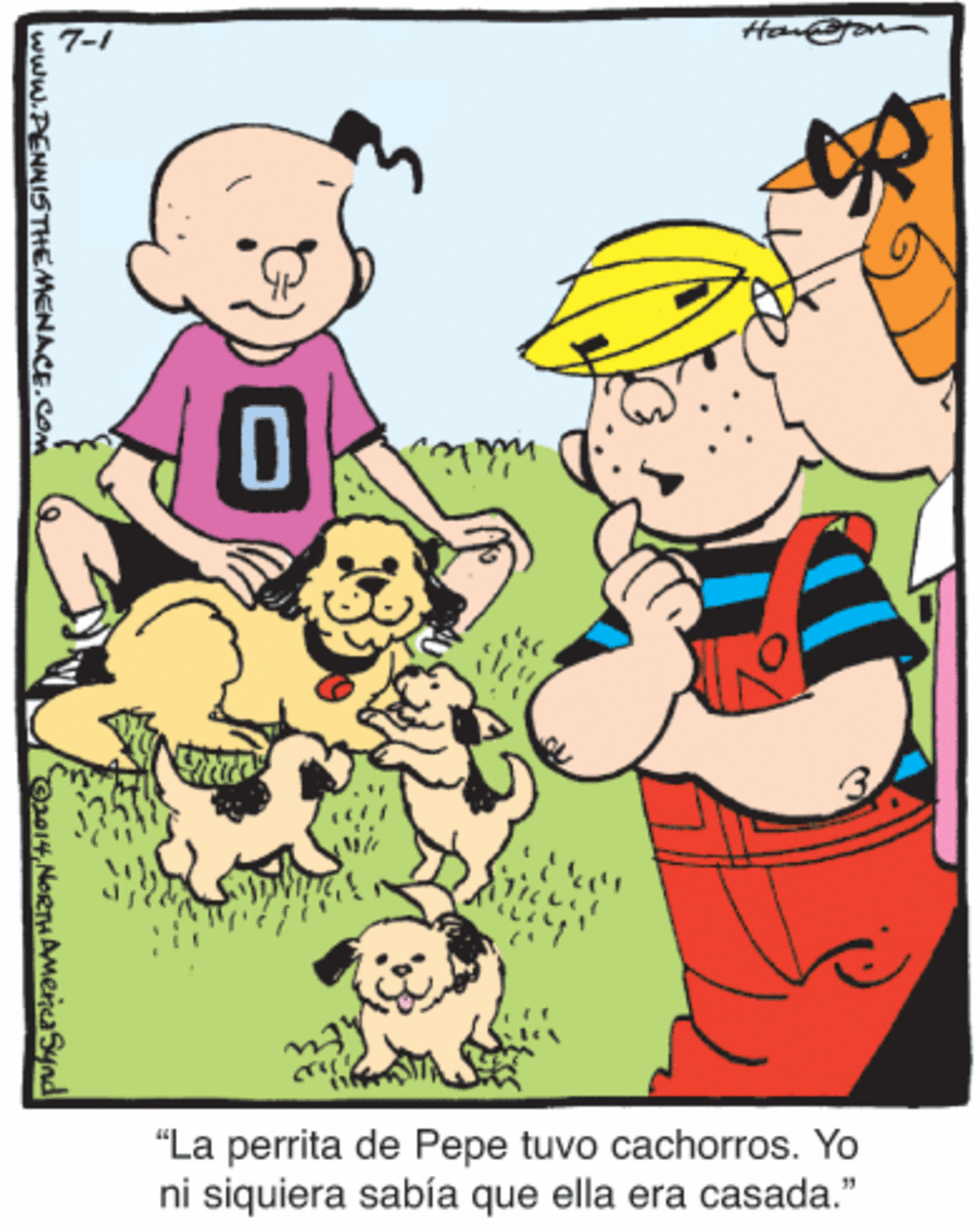 Gesture OCR: 7-1 Hangron "La perrita de Pepe tuvo cachorros. Yo ni siquiera sabía que ella era casada." www.PENNISTHEMENACE.COM 4NRTHAMernaSynd 7-1 Hangron "La perrita de Pepe tuvo cachorros. Yo ni siquiera sabía que ella era casada." www.PENNISTHEMENACE.COM 4NRTHAMernaSynd