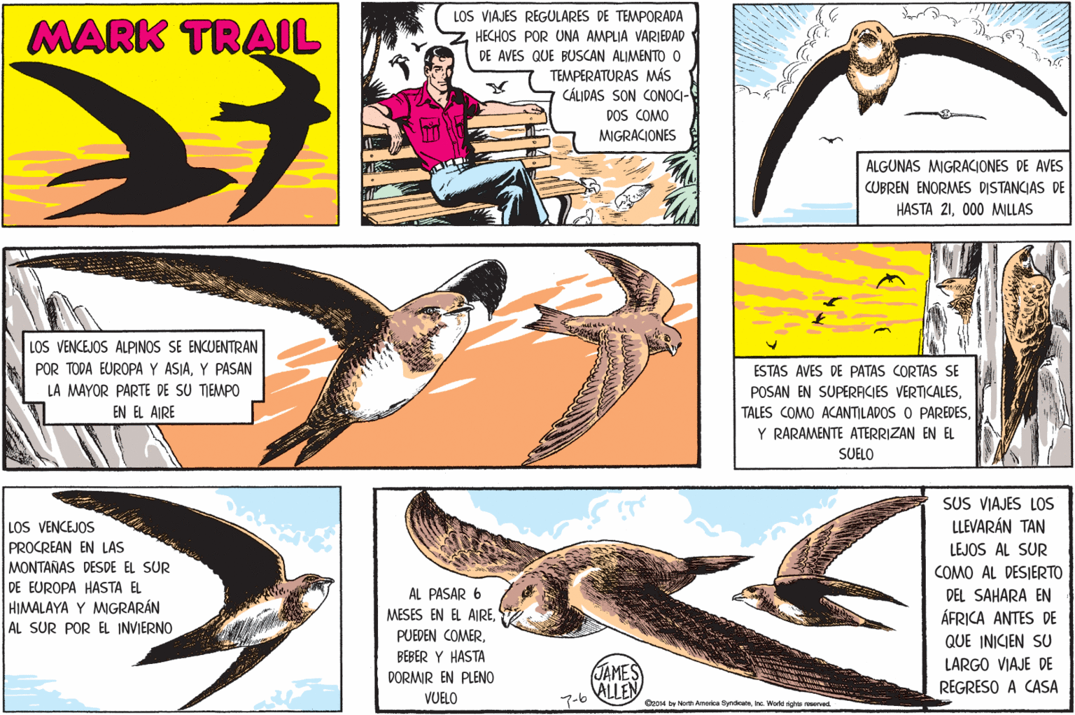 Parallel OCR: LOS VIAJES REGULARES DE TEMPORADA MARK TRAIL HECHOS POR UNA AMPLIA VARIEDAD DE AVES QUE BUSCAN ALIMENTO 0 TEMPERATURAS MÁS CÁLIDAS SON CONOCI- DOS COMO MIGRACIONES ALGUNAS MIGRACIONES DE AVES CUBREN ENORMES DISTANCIAS DE HASTA 21000 MILLAS LOS VENCEJOS ALPINOS SE ENCUENTRAN POR TODA EUROPA Y ASIAY PASAN LA MAYOR PARTE DE SU TIEMPO ESTAS AVES DE PATAS CORTAS SE POSAN EN SUPERAICIES VERTICALESEN EL AIRE TALES COMO ACANTILADOS O PAREDESY RARAMENTE ATERRIZAN EN EL SUELO SUS VIAJES LOS LLEVARÁN TAN LOS VENCEJOS PROCREAN EN LAS MONTANAS DESDE EL SUR DE EUROPA HASTA EL HIMALAYA Y MIGRARÁN LEJOS AL SUR COMO AL DESIERTO AL PASAR 6 MESES EN EL AIREDEL SAHARA EN ÁFRICA ANTES DE AL SUR POR EL INVIERNO QUE INICIEN SU BEBER Y HASTA JAMES 7-6 ALLEN LARGO VIAJE DE REGRESO A CASA DORMIR EN PLENO VUELO Oe014 by Norith America yndeataInc. Workd righis served. LOS VIAJES REGULARES DE TEMPORADA MARK TRAIL HECHOS POR UNA AMPLIA VARIEDAD DE AVES QUE BUSCAN ALIMENTO 0 TEMPERATURAS MÁS CÁLIDAS SON CONOCI- DOS COMO MIGRACIONES ALGUNAS MIGRACIONES DE AVES CUBREN ENORMES DISTANCIAS DE HASTA 21000 MILLAS LOS VENCEJOS ALPINOS SE ENCUENTRAN POR TODA EUROPA Y ASIAY PASAN LA MAYOR PARTE DE SU TIEMPO ESTAS AVES DE PATAS CORTAS SE POSAN EN SUPERAICIES VERTICALESEN EL AIRE TALES COMO ACANTILADOS O PAREDESY RARAMENTE ATERRIZAN EN EL SUELO SUS VIAJES LOS LLEVARÁN TAN LOS VENCEJOS PROCREAN EN LAS MONTANAS DESDE EL SUR DE EUROPA HASTA EL HIMALAYA Y MIGRARÁN LEJOS AL SUR COMO AL DESIERTO AL PASAR 6 MESES EN EL AIREPUEDEN COMERDEL SAHARA EN ÁFRICA ANTES DE AL SUR POR EL INVIERNO QUE INICIEN SU BEBER Y HASTA JAMES 7-6 ALLEN LARGO VIAJE DE REGRESO A CASA DORMIR EN PLENO VUELO Oe014 by Norith America yndeataInc. Workd righis served.