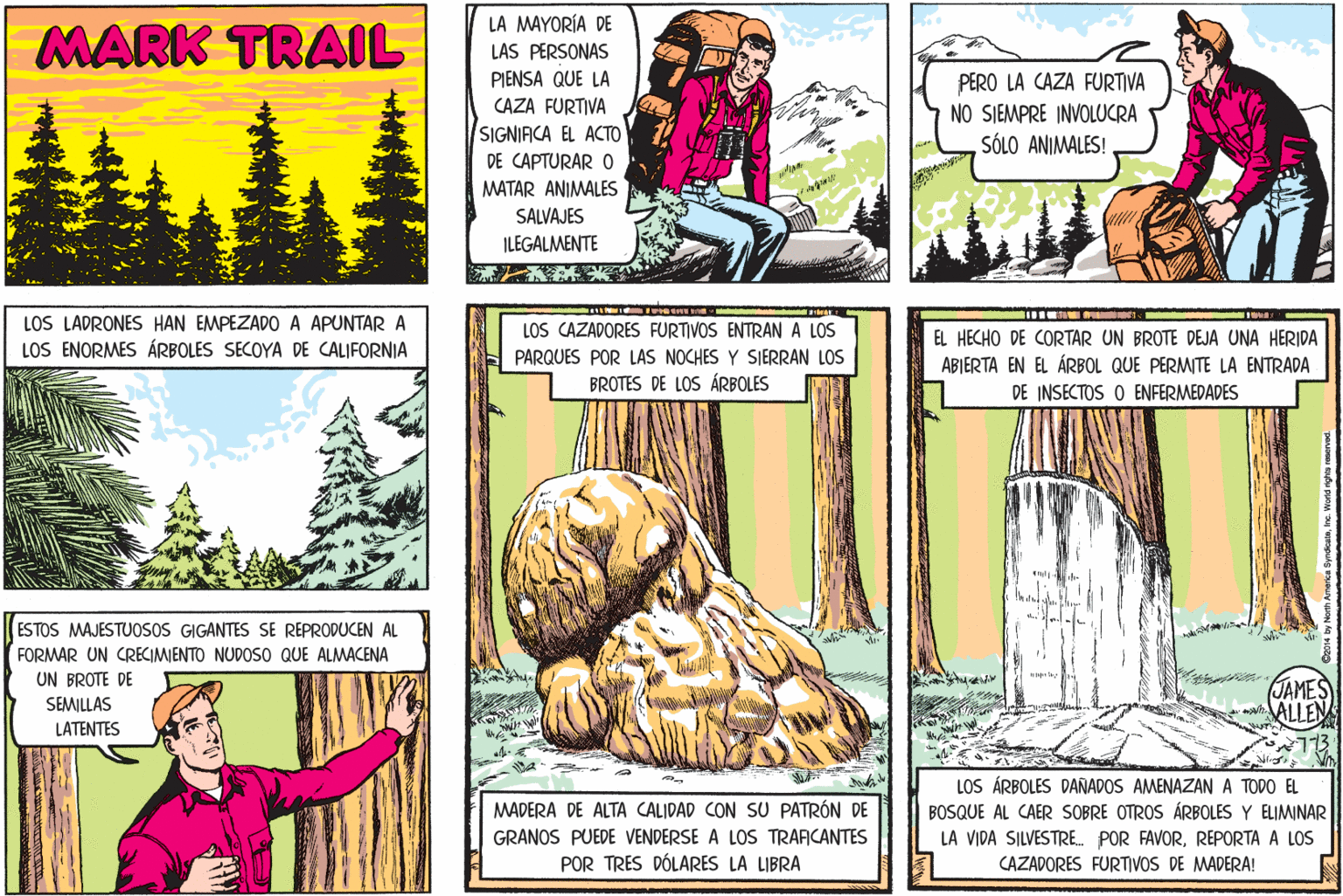 Plant OCR: MARK TRAIL LA MAYORÍA DE LAS PERSONAS PIENSA QUE LA CAZA FURTIVA SIGNIACA EL ACTO PERO LA CAZA FURTIVA NO SJEMPRE INVOLUCRA SÓLO ANIMALES! DE CAPTURAR O MATAR ANIMALES SALVAJES ILEGALMENTE LOS LADRONES HAN EMPEZADO A APUNTAR A LOS ENORMES ÁRBOLES SECOYA DE CALIFORNIA LOS CAZADORES FURTIVOS ENTRAN A LOS EL HECHO DE CORTAR UN BROTE DEJA UNA HERIDA ABIERTA EN EL ÁRBOL QUE PERMITE LA ENTRADA DE INSECTOS O ENFERMEDADES PARQUES POR LAS NOCHES Y SIERRAN LOS BROTES DE LOS ÁRBOLES ESTOS MAJESTUOSOS GIGANTES SE REPRODUCEN AL FORMAR UN CRECIMIENTO NUDOSO QUE ALMACENA UN BROTE DE SEMILLAS JAMES ALLEN LATENTES LOS ÁRBOLES DAÑADOS AMENAZAN A TODO EL BOSQUE AL CAER SOBRE OTROS ÁRBOLES Y ELIMINAR LA VIDA SILVESTRE. POR FAVORREPORTA A LOS CAZADORES FURTIVOS DE MADERA! MADERA DE ALTA CALIDAD CON SU PATRÓN DE GRANOS PUEDE VENDERSE A LOS TRAACANTES POR TRES DÓLARES LA LIBRA MARK TRAIL LA MAYORÍA DE LAS PERSONAS PIENSA QUE LA CAZA FURTIVA SIGNIACA EL ACTO PERO LA CAZA FURTIVA NO SJEMPRE INVOLUCRA SÓLO ANIMALES! DE CAPTURAR O MATAR ANIMALES SALVAJES ILEGALMENTE LOS LADRONES HAN EMPEZADO A APUNTAR A LOS ENORMES ÁRBOLES SECOYA DE CALIFORNIA LOS CAZADORES FURTIVOS ENTRAN A LOS EL HECHO DE CORTAR UN BROTE DEJA UNA HERIDA ABIERTA EN EL ÁRBOL QUE PERMITE LA ENTRADA DE INSECTOS O ENFERMEDADES PARQUES POR LAS NOCHES Y SIERRAN LOS BROTES DE LOS ÁRBOLES ESTOS MAJESTUOSOS GIGANTES SE REPRODUCEN AL FORMAR UN CRECIMIENTO NUDOSO QUE ALMACENA UN BROTE DE SEMILLAS JAMES ALLEN LATENTES LOS ÁRBOLES DAÑADOS AMENAZAN A TODO EL BOSQUE AL CAER SOBRE OTROS ÁRBOLES Y ELIMINAR LA VIDA SILVESTRE. POR FAVORREPORTA A LOS CAZADORES FURTIVOS DE MADERA! MADERA DE ALTA CALIDAD CON SU PATRÓN DE GRANOS PUEDE VENDERSE A LOS TRAACANTES POR TRES DÓLARES LA LIBRA