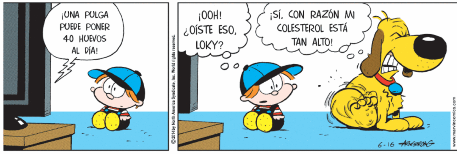 Happy OCR: ¡UNA PULGA PUEDE PONER 40 HUEVOS AL DÍA! |0OH! ¿OÍSTE ESOCON RAZÓN MI COLESTEROL ESTÁ TAN ALTO! LOKY? 6- 16 AkSTRONG e14by North America ¡UNA PULGA PUEDE PONER 40 HUEVOS AL DÍA! |0OH! ¿OÍSTE ESOCON RAZÓN MI COLESTEROL ESTÁ TAN ALTO! LOKY? 6- 16 AkSTRONG e14by North America