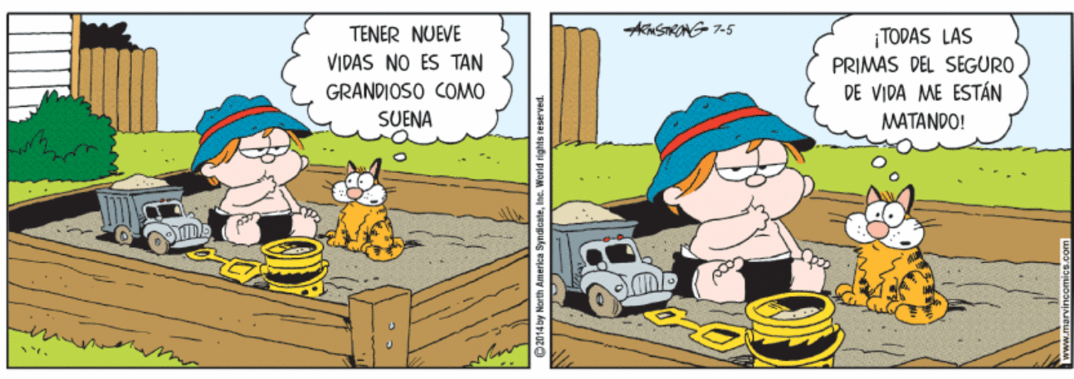 Parallel OCR: TENER NUEVE VIDAS NO ÉS TAN ¡TODAS LAS PRIMAS DEL SEGURO DE VIDA ME ESTÁN GRANDIOSO COMO SUENA MATANDO! 2014 by Morth America TENER NUEVE VIDAS NO ÉS TAN ¡TODAS LAS PRIMAS DEL SEGURO DE VIDA ME ESTÁN GRANDIOSO COMO SUENA MATANDO! 2014 by Morth America