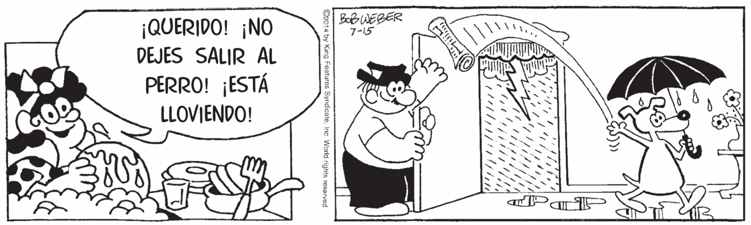 Jaw OCR: BoB WEBER 7-15 ¡QUERIDO! ¡NO DEJES SALIR AL PERRO! ¡ESTÁ LLOVJENDO! ndicateInc. World rights reserved BoB WEBER 7-15 ¡QUERIDO! ¡NO DEJES SALIR AL PERRO! ¡ESTÁ LLOVJENDO! ndicateInc. World rights reserved