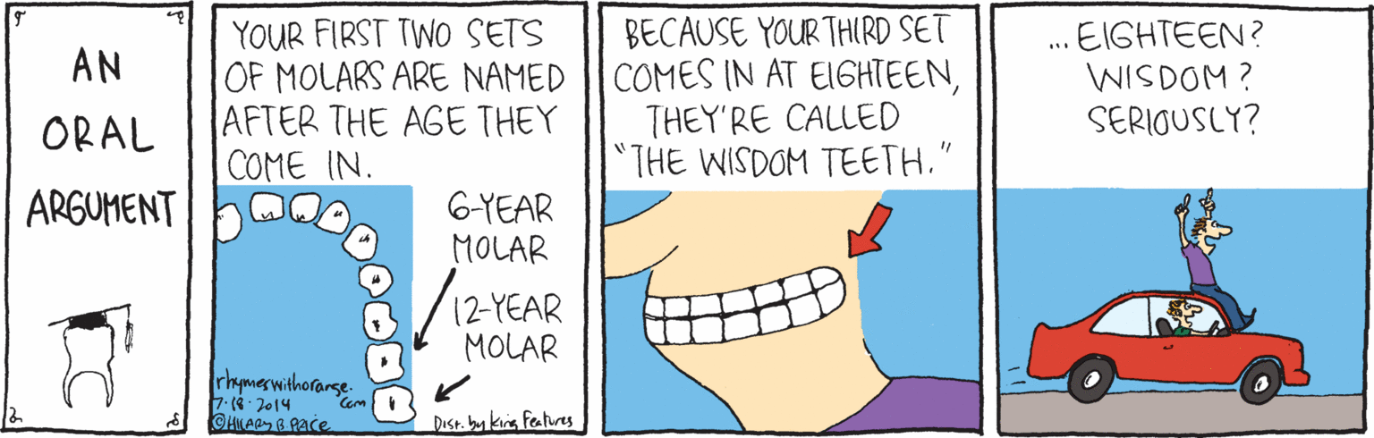 Happy OCR: YOUR FIRST TWO SETS OF MOLARS ARE NAMED COMES IN AT EIGHTEENAFTER THE AGE THEY COME IN. BECAUSE YOUR THIRD SET . EIGHTEEN? WISDOM ? SERIOUSLY? ... AN THEY'RE CALLED "THE WISDOM TEETH." ORAL ARGUMENT G-YEAR MOLAR /12 YEAR MOLAR rkymeswithorarse 7 2014 Com DIst. bykia features YOUR FIRST TWO SETS OF MOLARS ARE NAMED COMES IN AT EIGHTEENAFTER THE AGE THEY COME IN. BECAUSE YOUR THIRD SET . EIGHTEEN? WISDOM ? SERIOUSLY? ... AN THEY'RE CALLED "THE WISDOM TEETH." ORAL ARGUMENT G-YEAR MOLAR /12 YEAR MOLAR rkymeswithorarse 7 2014 Com DIst. bykia features