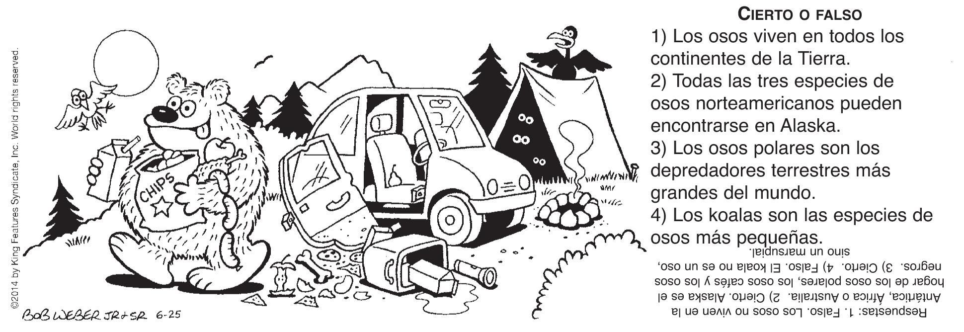 Wheel OCR: CIERTO O FALSO 1) Los osos viven en todos los continentes de la Tierra. 2) Todas las tres especies de osos norteamericanos pueden encontrarse en Alaska. 3) Los osos polares son los wwm depredadores terrestres más grandes del mundo. 4) Los koalas son las especies de osos más pequeñas. CHIPS sino un marsupial. hogar de los osos polareslos osos cafés y los osos AntárticaAfrica o Australia. 2) Cierto. Alaska es el Respuestas: 1. Falso. Los osos no viven en la negros. 3) Cierto. 4) Falso. El koala no es un osoBabWEBER. JR+ SR 6-25 4 by King Features SyndicateInc. Worid rights reserved. CIERTO O FALSO 1) Los osos viven en todos los continentes de la Tierra. 2) Todas las tres especies de osos norteamericanos pueden encontrarse en Alaska. 3) Los osos polares son los wwm depredadores terrestres más grandes del mundo. 4) Los koalas son las especies de osos más pequeñas. CHIPS sino un marsupial. hogar de los osos polareslos osos cafés y los osos AntárticaAfrica o Australia. 2) Cierto. Alaska es el Respuestas: 1. Falso. Los osos no viven en la negros. 3) Cierto. 4) Falso. El koala no es un osoBabWEBER. JR+ SR 6-25 4 by King Features SyndicateInc. Worid rights reserved.