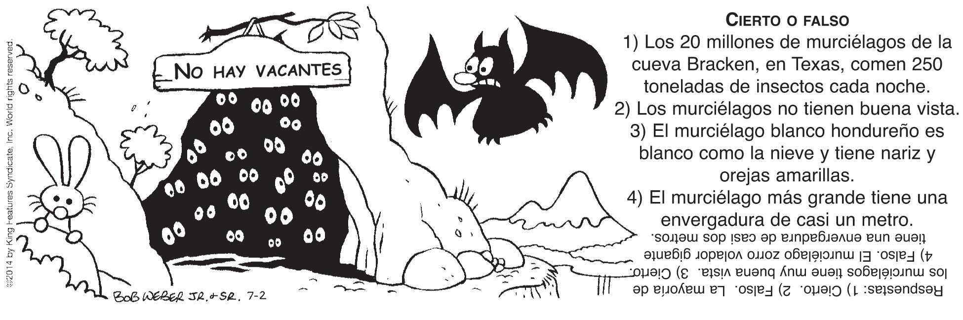 Plant OCR: CIERTO O FALSO 1) Los 20 millones de murciélagos de la cueva Brackencomen 250 No HAY VACANTES toneladas de insectos cada noche. 00 00 00 00 2) Los murciélagos no tienen buena vista. 3) El murciélago blanco hondureño es blanco como la nieve y tiene nariz y 00 00 00 00 00 00 orejas amarillas. 4) El murciélago más grande tiene una envergadura de casi un metro. tiene una envergadura de casi dos metros. 00 00 00 00 00 00 00 los murciélagos tiene muy buena vista. 3) Cierto. Respuestas: 1) Cierto. 2) Falso. La mayoría de 4) Falso. El murciélago zorro volador gigante Bob WERER JR+SR. 7-2 CIERTO O FALSO 1) Los 20 millones de murciélagos de la cueva Brackenen Texascomen 250 No HAY VACANTES toneladas de insectos cada noche. 00 00 00 00 2) Los murciélagos no tienen buena vista. 3) El murciélago blanco hondureño es blanco como la nieve y tiene nariz y 00 00 00 00 00 00 orejas amarillas. 4) El murciélago más grande tiene una envergadura de casi un metro. tiene una envergadura de casi dos metros. 00 00 00 00 00 00 00 los murciélagos tiene muy buena vista. 3) Cierto. Respuestas: 1) Cierto. 2) Falso. La mayoría de 4) Falso. El murciélago zorro volador gigante Bob WERER JR+SR. 7-2
