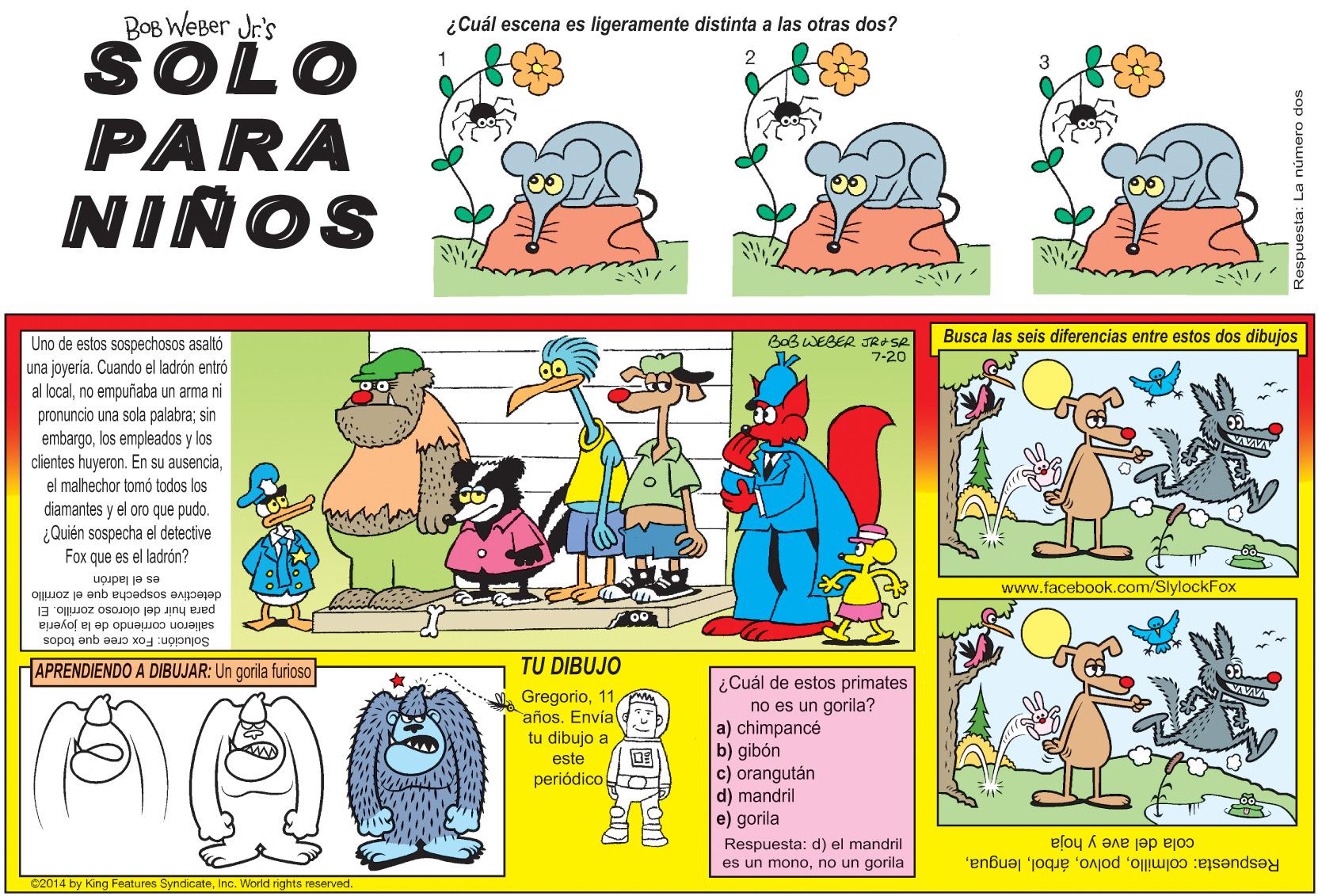 Sharing OCR: BOB WEBer Jr's SOLO PARA ¿Cuál escena es ligeramente distinta a las otras dos? NIÑOS Busca las seis diferencias entre estos dos dibujos Baß WEBER JRASE 7-20 Uno de estos sospechosos asaltó una joyeria. Cuando el ladrón entró al localno empuñaba un arma ni pronuncio una sola palabra; sin embargolos empleados y los clientes huyeron. En su ausenciael malhechor tomó todos los diamantes y el oro que pudo. ¿Quién sospecha el detective Fox que es el ladrón? es el ladrón www.facebook.com/SlylockFox detective sospecha que el zorrillo para huir del oloroso zomillo. El salieron corriendo de la joyeria Solución: Fox cree que todos APRENDIENDO A DIBUJAR: Un gorila furioso TU DIBUJO Gregorioaños. Envíal tu dibujo a este periódico ¿Cuál de estos primates no es un gorila? a) chimpancé b) gibón c) orangután d) mandril e) gorila Respuesta: d) el mandril es un monono un gorila cola del ave y hoja C2014 by King Features SyndicateInc. World nghts reserved. Respuesta: colmilloLa número dos BOB WEBer Jr's SOLO PARA ¿Cuál escena es ligeramente distinta a las otras dos? NIÑOS Busca las seis diferencias entre estos dos dibujos Baß WEBER JRASE 7-20 Uno de estos sospechosos asaltó una joyeria. Cuando el ladrón entró al localno empuñaba un arma ni pronuncio una sola palabra; sin embargolos empleados y los clientes huyeron. En su ausenciael malhechor tomó todos los diamantes y el oro que pudo. ¿Quién sospecha el detective Fox que es el ladrón? es el ladrón www.facebook.com/SlylockFox detective sospecha que el zorrillo para huir del oloroso zomillo. El salieron corriendo de la joyeria Solución: Fox cree que todos APRENDIENDO A DIBUJAR: Un gorila furioso TU DIBUJO Gregorioaños. Envíal tu dibujo a este periódico ¿Cuál de estos primates no es un gorila? a) chimpancé b) gibón c) orangután d) mandril e) gorila Respuesta: d) el mandril es un monono un gorila cola del ave y hoja C2014 by King Features SyndicateInc. World nghts reserved. Respuesta: colmilloLa número dos