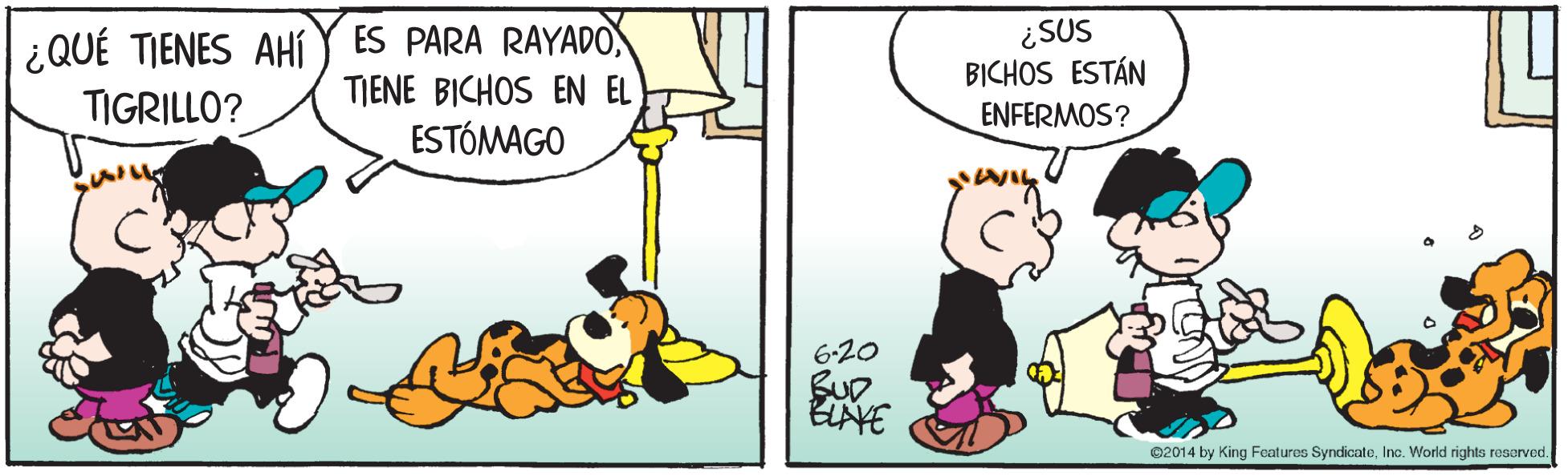Parallel OCR: ¿QUÉ TIENES AHí Y ES PARA RAYADO TIENE BICHOS EN EL ESTÓMAGO ¿SUS BICHOS ESTÁN ENFERMOS? TIGRILLO? WIL 6-20 Sup 02014 by King Featuros SyndicateInc. World rights resorved. ¿QUÉ TIENES AHí Y ES PARA RAYADO TIENE BICHOS EN EL ESTÓMAGO ¿SUS BICHOS ESTÁN ENFERMOS? TIGRILLO? WIL 6-20 Sup 02014 by King Featuros SyndicateInc. World rights resorved.
