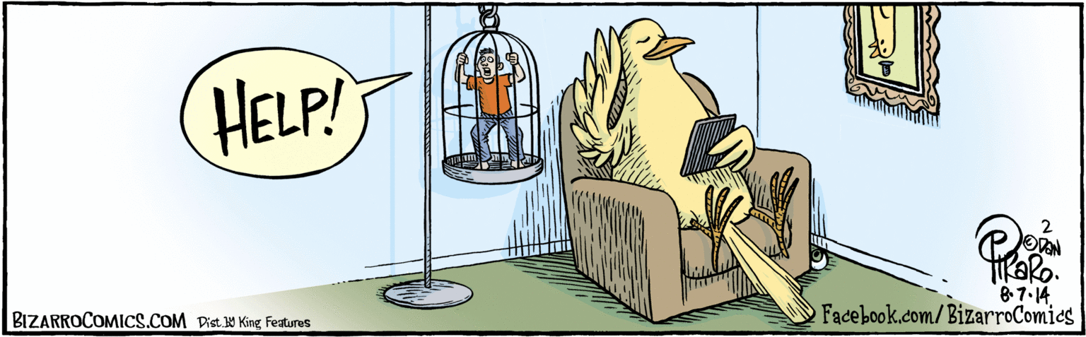 Illustration OCR: BIZARROCOMICS.COM Pist 9 King Features HELP! 8-7-14 Facebook.com/BizarroComics BIZARROCOMICS.COM Pist 9 King Features HELP! 8-7-14 Facebook.com/BizarroComics