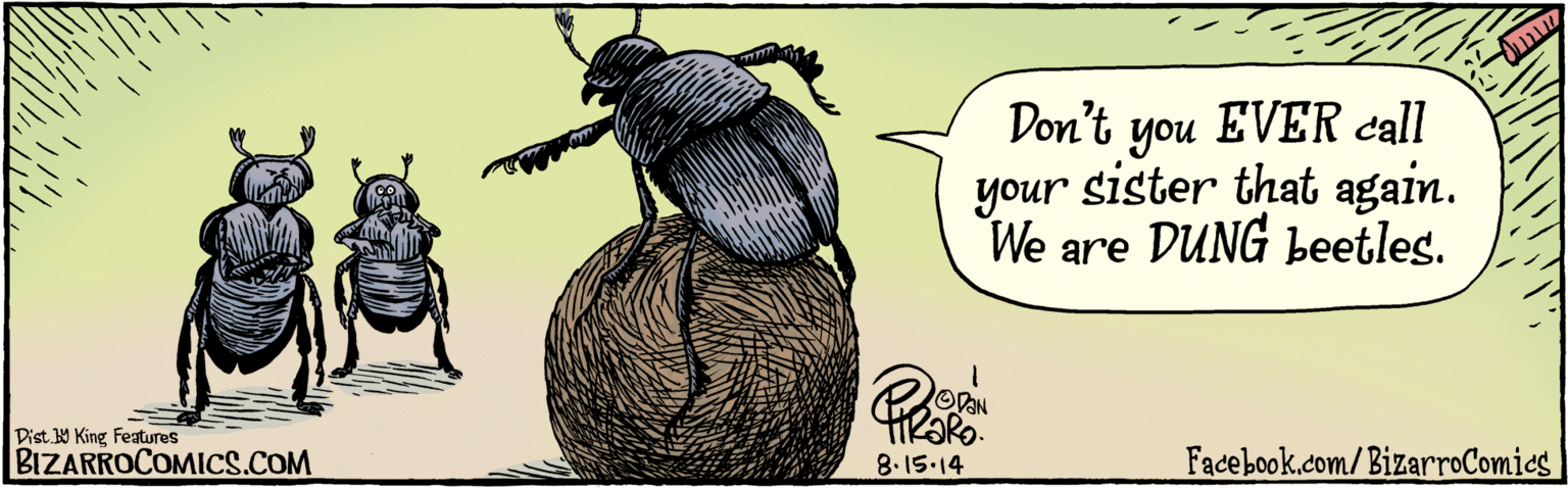 Painting OCR: BZARROCOMICS.COM INIME HI Facebook.com/BizarroComies/ Don't you EVER call your sister that again. We are DUNG beetles. 8.15.14 Dist. 9 King Features BZARROCOMICS.COM INIME HI Facebook.com/BizarroComies/ Don't you EVER call your sister that again. We are DUNG beetles. 8.15.14 Dist. 9 King Features
