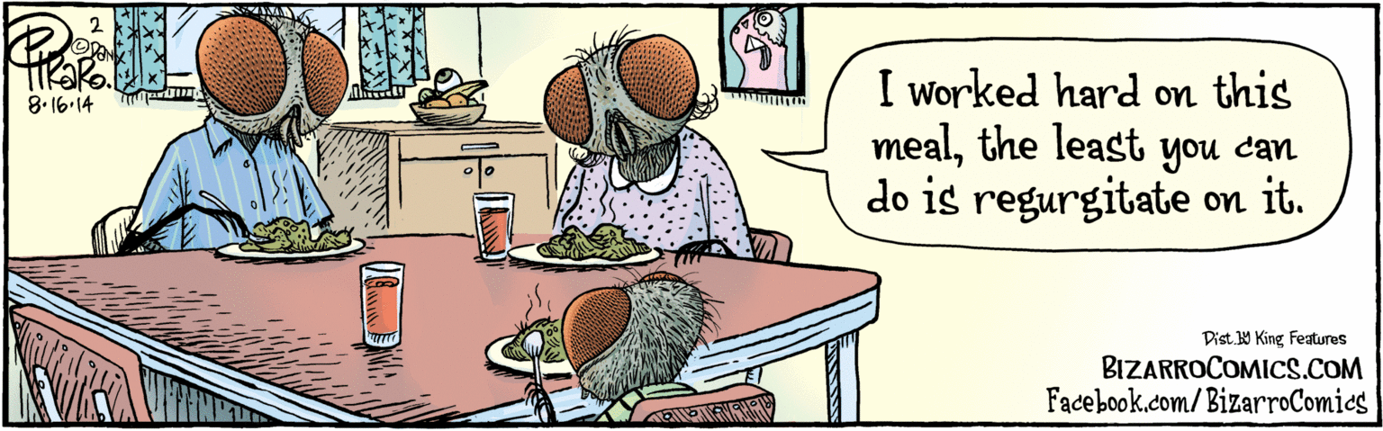 People OCR: BIZARROCOMICS.COM Facebook.com/BizarroComies Dist Y King Feaures I worked hard on this mealthe least you can do is regurgitate on it. 8-16-14 BIZARROCOMICS.COM Facebook.com/BizarroComies Dist Y King Feaures I worked hard on this mealthe least you can do is regurgitate on it. 8-16-14