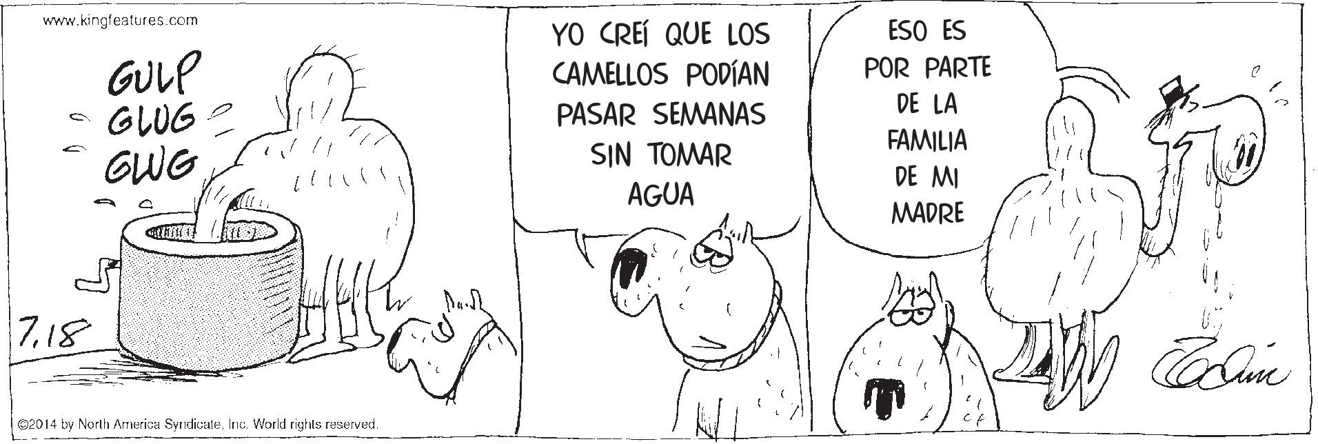 Font OCR: www.kingfeatures.com ESO ES YO CREÍ QUE LOS CAMELLOS PODÍAN GULP GLUG GWG POR PARTE DE LA FAMILIA PASAR SEMANAS SIN TOMAR DE MI AGUA MADRE 7.18 02014 by Norlh Arrerica SvridicaleInc. Workd righls reserved. www.kingfeatures.com ESO ES YO CREÍ QUE LOS CAMELLOS PODÍAN GULP GLUG GWG POR PARTE DE LA FAMILIA PASAR SEMANAS SIN TOMAR DE MI AGUA MADRE 7.18 02014 by Norlh Arrerica SvridicaleInc. Workd righls reserved.