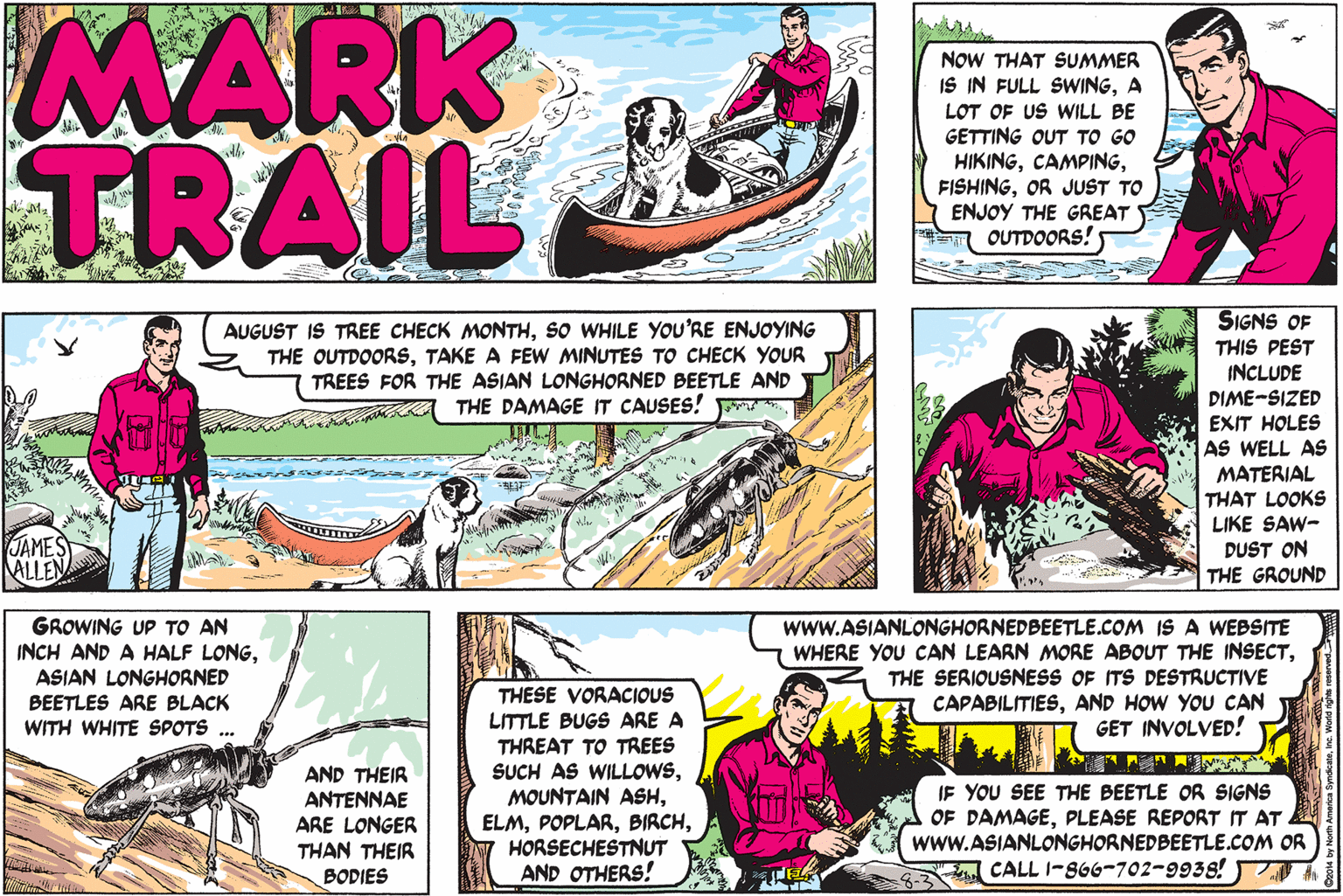 Parallel OCR: MARK TRAIL NOW THAT SUMMER IS IN FULL SWINGA LOT OF US WILL BE GETTING OUT TO GO HIKINGOR JUST TO ENJOY THE GREAT OUTDOORS! SIGNS OF THIS PEST AUGUST IS TREE CHECK MONTHSO WHILE YOU'RE ENJOYING THE OUTDOORSTAKE A FEW MINUTES TO CHECK YOUR TREES FOR THE ASIAN LONGHORNED BEETLE AND THE DAMAGE IT CAUSES! r INCLUDE DIME-SIZED EXIT HOLES AS WELL AS MATERIAL THAT LOOKS LIKE SAW- JAMES ALLEN DUST ON THE GROUND GROWING UP TO AN INCH AND A HALF LONGASIAN LONGHORNED BEETLES ARE BLACK WITH WHITE SPOTS wwW.ASIANLONGHORNEDBEETLE.COM IS A WEBSITE WHERE YOU CAN LEARN MORE ABOUT THE INSECTTHE SERIOUSNESS OF ITS DESTRUCTIVE CAPABILITIESAND HOW YOU CAN GET INVOLVED! AND THEIR ANTENNAE ARE LONGER THAN THEIR BODIES THESE VORACIOUS LITTLE BUGS ARE A THREAT TO TREES SUCH AS WILLOWSHORSECHESTNUT AND OTHERS! IF YOU SEE THE BEETLE OR SIGNS OF DAMAGEPLEASE REPORT IT AT wwW.ASIANLONGHORNEDBEETLE.COM OR CALL I-866-702-9938! TA MARK TRAIL NOW THAT SUMMER IS IN FULL SWINGA LOT OF US WILL BE GETTING OUT TO GO HIKINGOR JUST TO ENJOY THE GREAT OUTDOORS! SIGNS OF THIS PEST AUGUST IS TREE CHECK MONTHSO WHILE YOU'RE ENJOYING THE OUTDOORSTAKE A FEW MINUTES TO CHECK YOUR TREES FOR THE ASIAN LONGHORNED BEETLE AND THE DAMAGE IT CAUSES! r INCLUDE DIME-SIZED EXIT HOLES AS WELL AS MATERIAL THAT LOOKS LIKE SAW- JAMES ALLEN DUST ON THE GROUND GROWING UP TO AN INCH AND A HALF LONGASIAN LONGHORNED BEETLES ARE BLACK WITH WHITE SPOTS wwW.ASIANLONGHORNEDBEETLE.COM IS A WEBSITE WHERE YOU CAN LEARN MORE ABOUT THE INSECTTHE SERIOUSNESS OF ITS DESTRUCTIVE CAPABILITIESAND HOW YOU CAN GET INVOLVED! AND THEIR ANTENNAE ARE LONGER THAN THEIR BODIES THESE VORACIOUS LITTLE BUGS ARE A THREAT TO TREES SUCH AS WILLOWSMOUNTAIN ASHHORSECHESTNUT AND OTHERS! IF YOU SEE THE BEETLE OR SIGNS OF DAMAGEPLEASE REPORT IT AT wwW.ASIANLONGHORNEDBEETLE.COM OR CALL I-866-702-9938! TA