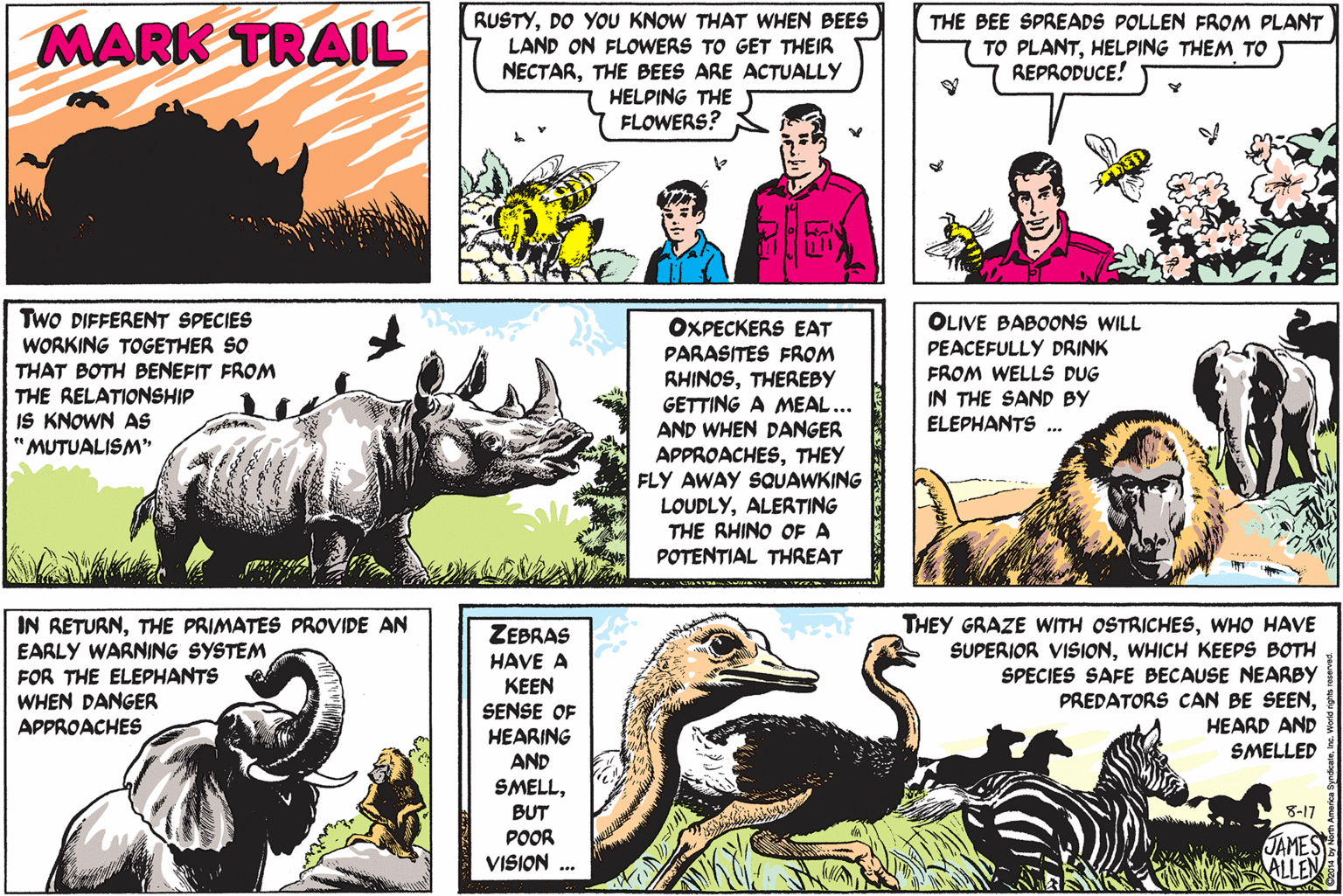 Terrestrial animal OCR: RUSTYDO YOU KNOW THAT WHEN BEES LAND ON FLOWERS TO GET THEIR NECTARTHE BEES ARE ACTUALLY HELPING THE FLOWERS? THE BEE SPREADS POLLEN FROM PLANT TO PLANTHELPING THEM TO REPRODUCE! MARK TRAIL Two DIFFERENT SPECIES WORKING TOGETHER SO THAT BOTH BENEFIT FROM THE RELATIONSHIP IS KNOWN AS "MUTUALISM" OLIVE BABOONS WILL PEACEFULLY DRINK FROM WELLS DUG OXPECKERS EAT PARASITES FROM RHINOSTHEREBY GETTING A MEAL... AND WHEN DANGER APPROACHESTHEY FLY AWAY SQUAWKING LOUDLYALERTING THE RHINO OF A POTENTIAL THREAT IN THE SAND BY ELEPHANTS ... IN RETURNTHE PRIMATES PROVIDE AN EARLY WARNING SYSTEM FOR THE ELEPHANTS WHEN DANGER APPROACHES THEY GRAZE WITH OSTRICHESWHO HAVE SUPERIOR VISIONWHICH KEEPS BOTH SPECIES SAFE BECAUSE NEARBY PREDATORS CAN BE SEENHEARD AND SMELLED ZEBRAS HAVE A ??EN SENSE OF HEARING AND SMELLBUT POOR VISION ... 8-17 JAMES ALLEN RUSTYDO YOU KNOW THAT WHEN BEES LAND ON FLOWERS TO GET THEIR NECTARTHE BEES ARE ACTUALLY HELPING THE FLOWERS? THE BEE SPREADS POLLEN FROM PLANT TO PLANTHELPING THEM TO REPRODUCE! MARK TRAIL Two DIFFERENT SPECIES WORKING TOGETHER SO THAT BOTH BENEFIT FROM THE RELATIONSHIP IS KNOWN AS "MUTUALISM" OLIVE BABOONS WILL PEACEFULLY DRINK FROM WELLS DUG OXPECKERS EAT PARASITES FROM RHINOSTHEREBY GETTING A MEAL... AND WHEN DANGER APPROACHESTHEY FLY AWAY SQUAWKING LOUDLYALERTING THE RHINO OF A POTENTIAL THREAT IN THE SAND BY ELEPHANTS ... IN RETURNTHE PRIMATES PROVIDE AN EARLY WARNING SYSTEM FOR THE ELEPHANTS WHEN DANGER APPROACHES THEY GRAZE WITH OSTRICHESWHO HAVE SUPERIOR VISIONWHICH KEEPS BOTH SPECIES SAFE BECAUSE NEARBY PREDATORS CAN BE SEENHEARD AND SMELLED ZEBRAS HAVE A ??EN SENSE OF HEARING AND SMELLBUT POOR VISION ... 8-17 JAMES ALLEN