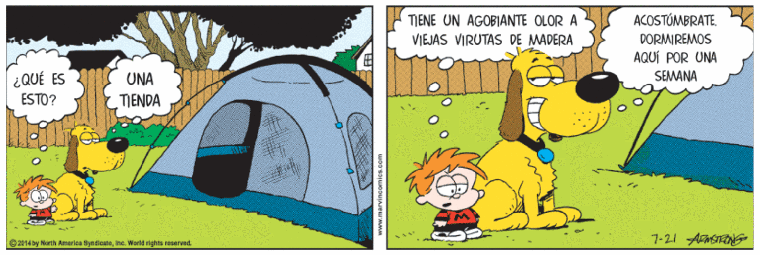 Font OCR: TIENE UN AGOBIANTE OLOR A ACOSTÚMBRATE. DORMIREMOS AQUÍ POR UNA SEMANA VIEJAS VIRUTAS DE MADERA ¿QUÉ ES ESTO? UNA TIENDA G2014 by North America Syndicateinc. Warld rights reserved. 7-21 ASTEON TIENE UN AGOBIANTE OLOR A ACOSTÚMBRATE. DORMIREMOS AQUÍ POR UNA SEMANA VIEJAS VIRUTAS DE MADERA ¿QUÉ ES ESTO? UNA TIENDA G2014 by North America Syndicateinc. Warld rights reserved. 7-21 ASTEON