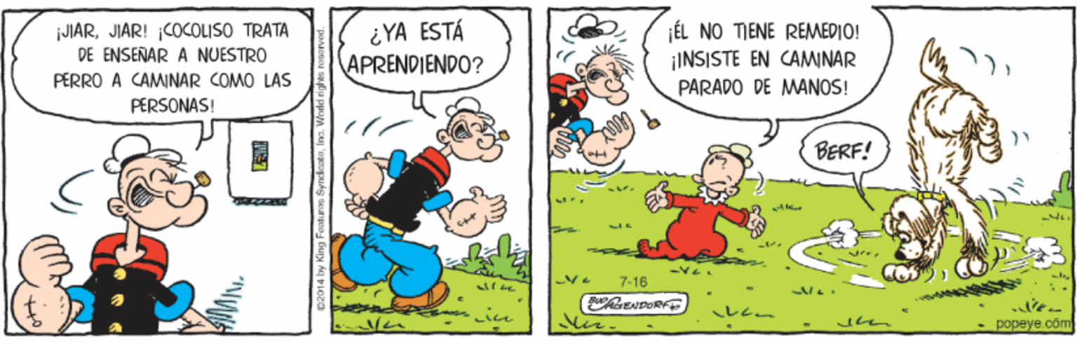 Gesture OCR: JIARJIAR! ¡COCOLISO TRATA DE ENSENAR A NUESTRO PERRO A CAMINAR COMO LAS ¿YA ESTÁ APRENDIENDO? ÉL NO TIENE REMEDIO! ¡INSISTE EN CAMINAR PARADO DE MANOS! PERSONAS! BERF! 7.16 - popeye cäm by King Fenturas SynciaatoIns JIARJIAR! ¡COCOLISO TRATA DE ENSENAR A NUESTRO PERRO A CAMINAR COMO LAS ¿YA ESTÁ APRENDIENDO? ÉL NO TIENE REMEDIO! ¡INSISTE EN CAMINAR PARADO DE MANOS! PERSONAS! BERF! 7.16 - popeye cäm by King Fenturas Synciaato