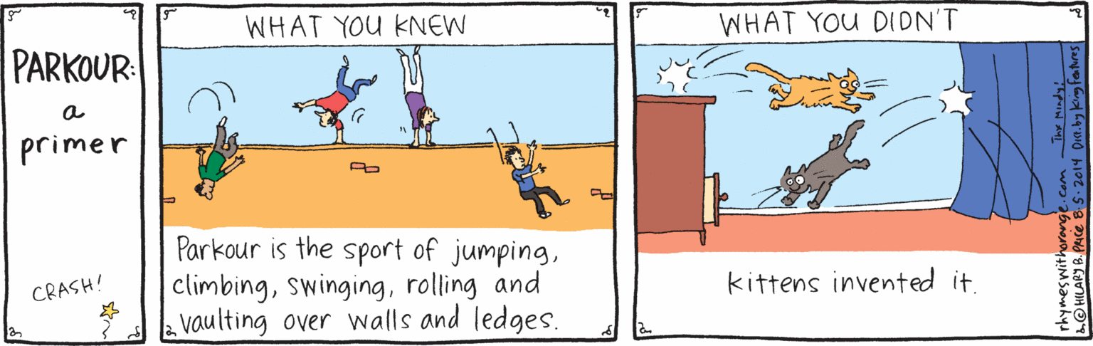 Illustration OCR: WHAT YOU KNEW WHAT YOU DIDN'T PARKOUR a primer A Parkour is the sport of jumpingrolling and vaulting over walls and ledges. CRASH! kittens invented it. WHAT YOU KNEW WHAT YOU DIDN'T PARKOUR a primer A Parkour is the sport of jumpingrolling and vaulting over walls and ledges. CRASH! kittens invented it.