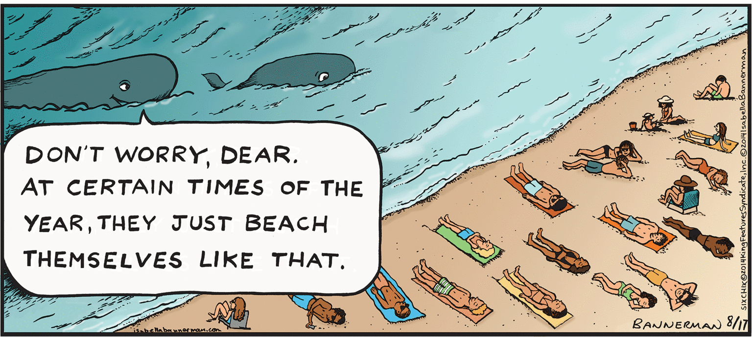 Fin OCR: DON'T WORRYDEAR. AT CERTAIN TIMES OF THE YEARTHEY JUST BEACH THEMSELVES LIKE THAT. BANNERMAN 8/17 DON'T WORRYDEAR. AT CERTAIN TIMES OF THE YEARTHEY JUST BEACH THEMSELVES LIKE THAT. BANNERMAN 8/17