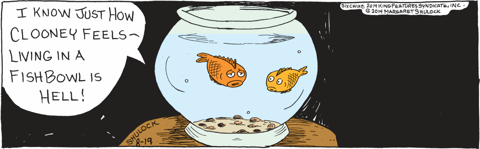 Ingredient OCR: I KNOW JUST How CLOONEY FEELS-LIVING IN A FISH BOWL 1S HELL! 8-19 SIX CHIX ©2014 King Features SyndicateInc. SHULOckt ©2014 Margaret Shulock I KNOW JUST How CLOONEY FEELS-LIVING IN A FISH BOWL 1S HELL! 8-19 SIX CHIX ©2014 King Features SyndicateInc. SHULOckt ©2014 Margaret Shulock