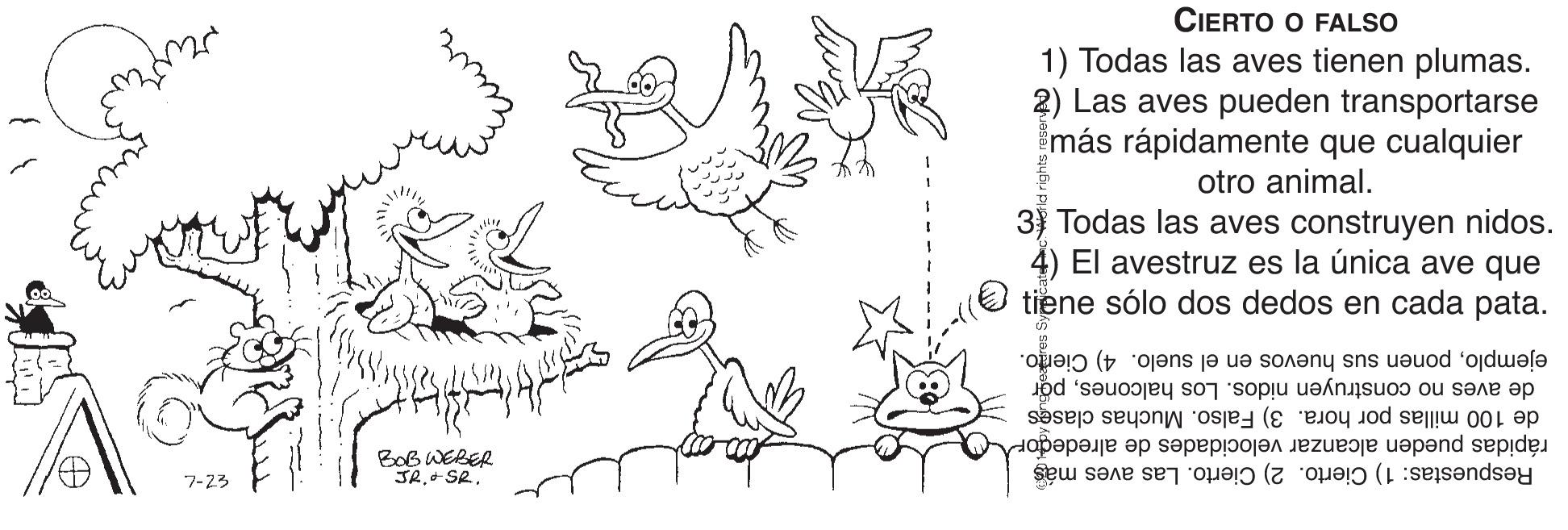 Jaw OCR: CIERTO O FALSO 1) Todas las aves tienen plumas. 2) Las aves pueden transportarse más rápidamente que cualquier otro animal. 3) Todas las aves construyen nidos. 4) El avestruz es la única ave que tiene sólo dos dedos en cada pata. ejemploponen sus huevos en el suelo. 4) Cierto. de aves no construyen nidos. Los halconespär de 100 millas por hora. 3) Falso. Muchas clases rápidas pueden alcanzar velocidades de alrededor Respuestas: 1) Cierto. 2) Cierto. Las aves más BoB WEBER JR7-23 CIERTO O FALSO 1) Todas las aves tienen plumas. 2) Las aves pueden transportarse más rápidamente que cualquier otro animal. 3) Todas las aves construyen nidos. 4) El avestruz es la única ave que tiene sólo dos dedos en cada pata. ejemploponen sus huevos en el suelo. 4) Cierto. de aves no construyen nidos. Los halconespär de 100 millas por hora. 3) Falso. Muchas clases rápidas pueden alcanzar velocidades de alrededor Respuestas: 1) Cierto. 2) Cierto. Las aves más BoB WEBER JR+ SR