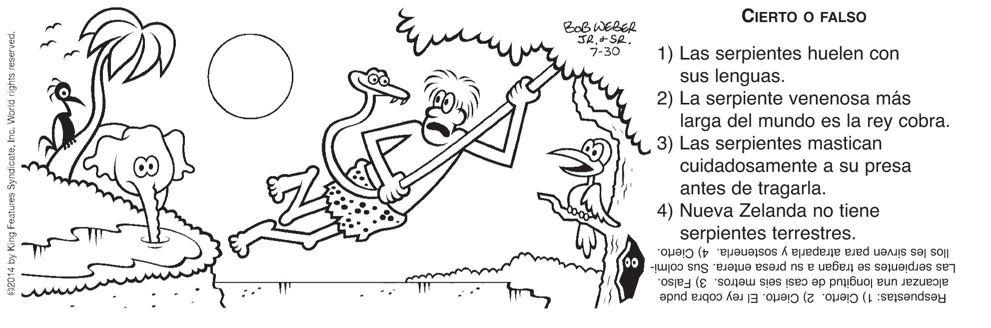Cartoon OCR: CIERTO O FALSO Bob WEBER JR.+SR. 7-30 1) Las serpientes huelen con sus lenguas. 2) La serpiente venenosa más larga del mundo es la rey cobra. 3) Las serpientes mastican cuidadosamente a su presa antes de tragarla. 4) Nueva Zelanda no tiene serpientes terrestres. llos les sirven para atraparla y sostenerla. 4) Cierto. Las serpientes se tragan a su presa entera. Sus colmi- alcanzar una longitud de casi seis metros. 3) Falso. Respuestas: 1) Cierto. 2) Cierto. El rey cobra pude 00 692014 by King Features SyndicateInc. World rights re CIERTO O FALSO Bob WEBER JR.+SR. 7-30 1) Las serpientes huelen con sus lenguas. 2) La serpiente venenosa más larga del mundo es la rey cobra. 3) Las serpientes mastican cuidadosamente a su presa antes de tragarla. 4) Nueva Zelanda no tiene serpientes terrestres. llos les sirven para atraparla y sostenerla. 4) Cierto. Las serpientes se tragan a su presa entera. Sus colmi- alcanzar una longitud de casi seis metros. 3) Falso. Respuestas: 1) Cierto. 2) Cierto. El rey cobra pude 00 692014 by King Features SyndicateInc. World rights re