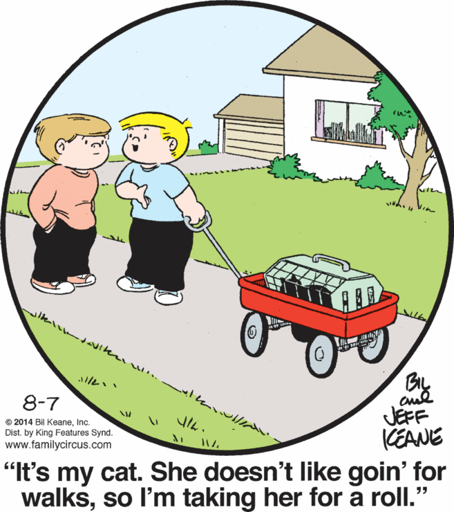 Motor vehicle OCR: BL cul JEFF KEANE 8-7 © 2014 Bil KeaneInc. Dist. by King Features Synd. www.familycircus.com "t's my cat. She doesn't Ilike goin' for walksso l'm taking her for a roll." BL cul JEFF KEANE 8-7 © 2014 Bil KeaneInc. Dist. by King Features Synd. www.familycircus.com "t's my cat. She doesn't Ilike goin' for walksso l'm taking her for a roll."