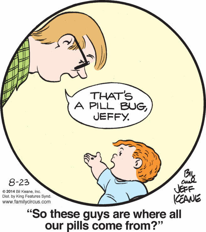 Mammal OCR: THAT'S A PILL BUGJEFFY. 8-23 JEFF KEANE "So these guys are where all © 2014 Bil KeaneInc. Dist. by King Features Synd. www.familycircus.com our pills come from?" THAT'S A PILL BUGJEFFY. 8-23 JEFF KEANE "So these guys are where all © 2014 Bil KeaneInc. Dist. by King Features Synd. www.familycircus.com our pills come from?"