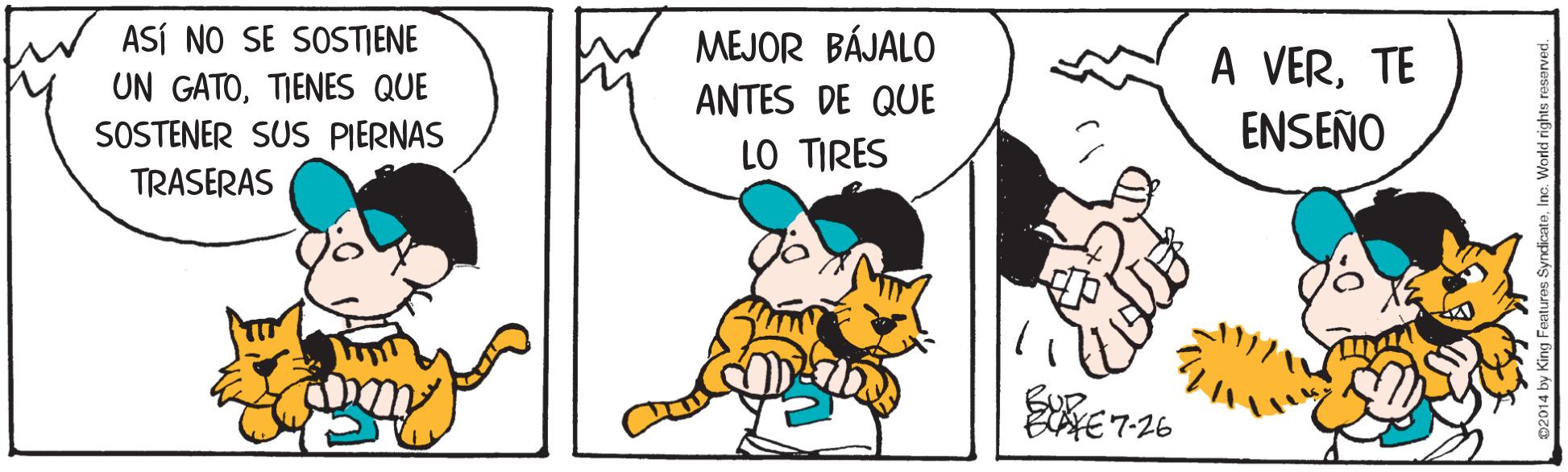 Font OCR: IW ASÍ NO SE SOSTENE UN GATOTIENES QUE MEJOR BÁJALO A VERTE ENSEÑO ANTES DE QUE SOSTENER SUS PIERNAS LO TIRES TRASERAS BAFE 7-26 IW ASÍ NO SE SOSTENE UN GATOTIENES QUE MEJOR BÁJALO A VERTE ENSEÑO ANTES DE QUE SOSTENER SUS PIERNAS LO TIRES TRASERAS BAFE 7-26