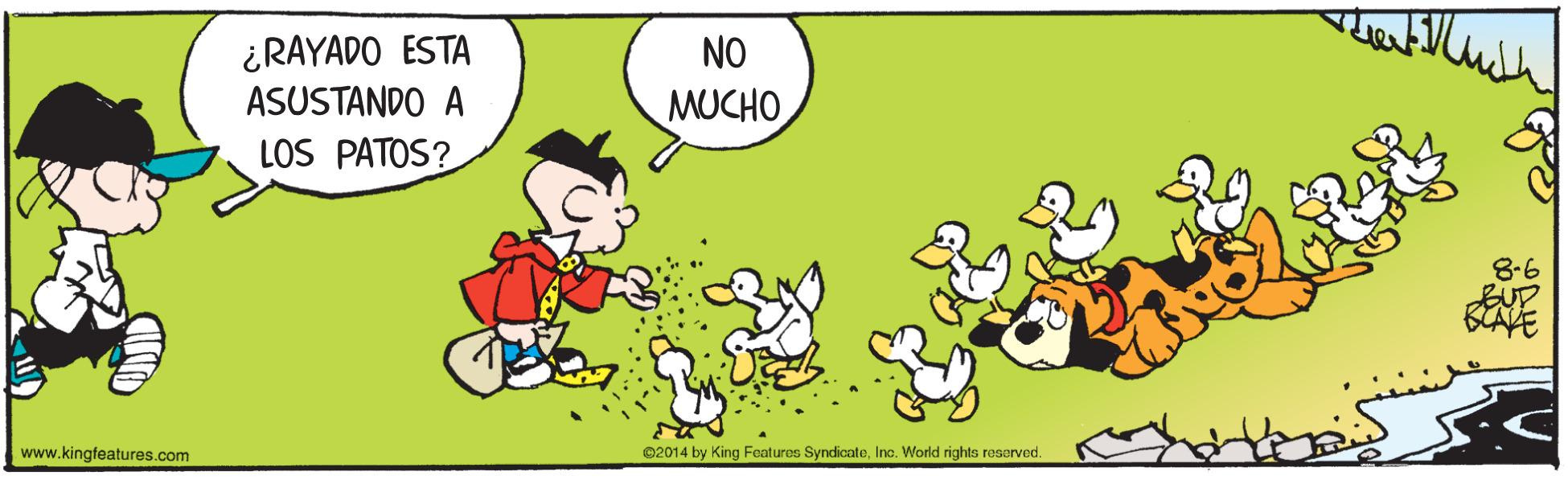 Illustration OCR: ¿RAYADO ESTA ASUSTANDO A NO MUCHO LOS PATOS? 8-6 BAVE www.kingfeatures.com ©2014 by King Features SyndicateInc. World rights reserved. ¿RAYADO ESTA ASUSTANDO A NO MUCHO LOS PATOS? 8-6 BAVE www.kingfeatures.com ©2014 by King Features SyndicateInc. World rights reserved.