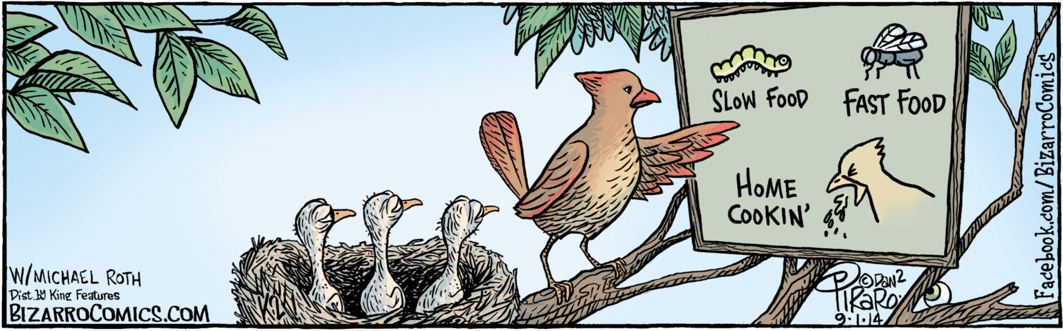 Twig OCR: Dist 9 King features SLow FooD FAST FOOD HOME COOKIN' ODAN 9. 1.14 W/ MICHAEL ROTH Facebook.com/BizarroComics Dist 9 King features SLow FooD FAST FOOD HOME COOKIN' ODAN 9. 1.14 W/ MICHAEL ROTH Facebook.com/BizarroComics