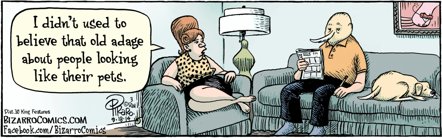 Drawing OCR: Facebook.com/BizarroComics I didn't used to believe that old adage about people looking like their pets. 9.18.14 BIZARROCOMICS.COM Dist Y King Features Facebook.com/BizarroComics I didn't used to believe that old adage about people looking like their pets. 9.18.14 BIZARROCOMICS.COM Dist Y King Features