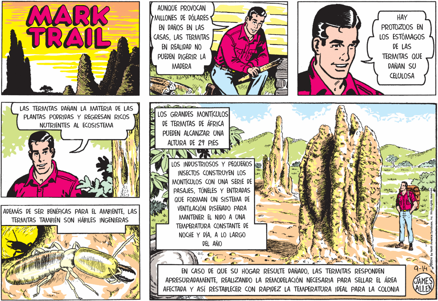 Terrestrial plant OCR: MARK TRAIL AUNQUE PROVOCAN MILLONES DE DÓLARES HAY EN DAÑOS EN LAS PROTOZOOS EN CASASLAS TERMWTAS LOS ESTÓMAGOS EN REALIDAD DE LAS TERMITAS QUE DAÑAN SU PUEDEN DIGERIR LA MADERA CELULOSA LAS TERMITAS DAÑAN LA MATERIA DE LAS LOS GRANDES MONTICULOS DE TERMITAS DE ÁFRICA PUEDEN ALCANZAR UNA PLANTAS PODRIDAS Y REGRESAN RICOS NUTRIENTES AL ECOSISTEMA ALTURA DE 29 PIES LOS INDUSTRIOSOS Y PEQUEÑOS INSECTOS CONSTRUYEN LOS MONTICULOS CON UNA SERIE DE PASAJESTÚNELES Y ENTRADAS QUE FORMAN UN SISTEMA DE VENTILACIÓN DISENADO PARA MANTENER EL NIDO A UNA ADEMÁS DE SER BENÉFICAS PARA EL AMBIENTELAS TERMITAS TAMBIÉN SON HÁBILES INGENIERAS TEMPERATURA CONSTANTE DE NOCHE Y DÍAA LO LARGO DEL AÑO 9-14 EN CASO DE QUE SU HOGAR RESULTE DAÑADOLAS TERMITAS RESPONDEN APRESURADAMENTEREALIZANDO LA REMODELACIÓN NECESARIA PARA SELLAR EL ÁREA AFECTADA Y ASÍ RESTABLECER CON RAPIDEZ LA TEMMPERATURA IDEAL PARA LA COLONIA JAMES ALLEN MARK TRAIL AUNQUE PROVOCAN MILLONES DE DÓLARES HAY EN DAÑOS EN LAS PROTOZOOS EN CASASLAS TERMWTAS LOS ESTÓMAGOS EN REALIDAD DE LAS TERMITAS QUE DAÑAN SU PUEDEN DIGERIR LA MADERA CELULOSA LAS TERMITAS DAÑAN LA MATERIA DE LAS LOS GRANDES MONTICULOS DE TERMITAS DE ÁFRICA PUEDEN ALCANZAR UNA PLANTAS PODRIDAS Y REGRESAN RICOS NUTRIENTES AL ECOSISTEMA ALTURA DE 29 PIES LOS INDUSTRIOSOS Y PEQUEÑOS INSECTOS CONSTRUYEN LOS MONTICULOS CON UNA SERIE DE PASAJESTÚNELES Y ENTRADAS QUE FORMAN UN SISTEMA DE VENTILACIÓN DISENADO PARA MANTENER EL NIDO A UNA ADEMÁS DE SER BENÉFICAS PARA EL AMBIENTELAS TERMITAS TAMBIÉN SON HÁBILES INGENIERAS TEMPERATURA CONSTANTE DE NOCHE Y DÍAA LO LARGO DEL AÑO 9-14 EN CASO DE QUE SU HOGAR RESULTE DAÑADOLAS TERMITAS RESPONDEN APRESURADAMENTEREALIZANDO LA REMODELACIÓN NECESARIA PARA SELLAR EL ÁREA AFECTADA Y ASÍ RESTABLECER CON RAPIDEZ LA TEMMPERATURA IDEAL PARA LA COLONIA JAMES ALLEN